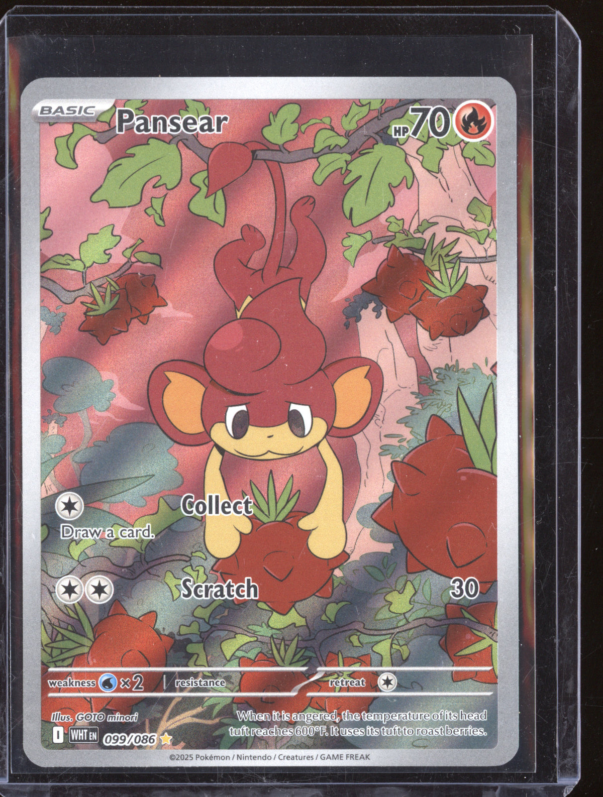 Pansear 2025 Pokemon White Flare 099/086 Illustration Rare