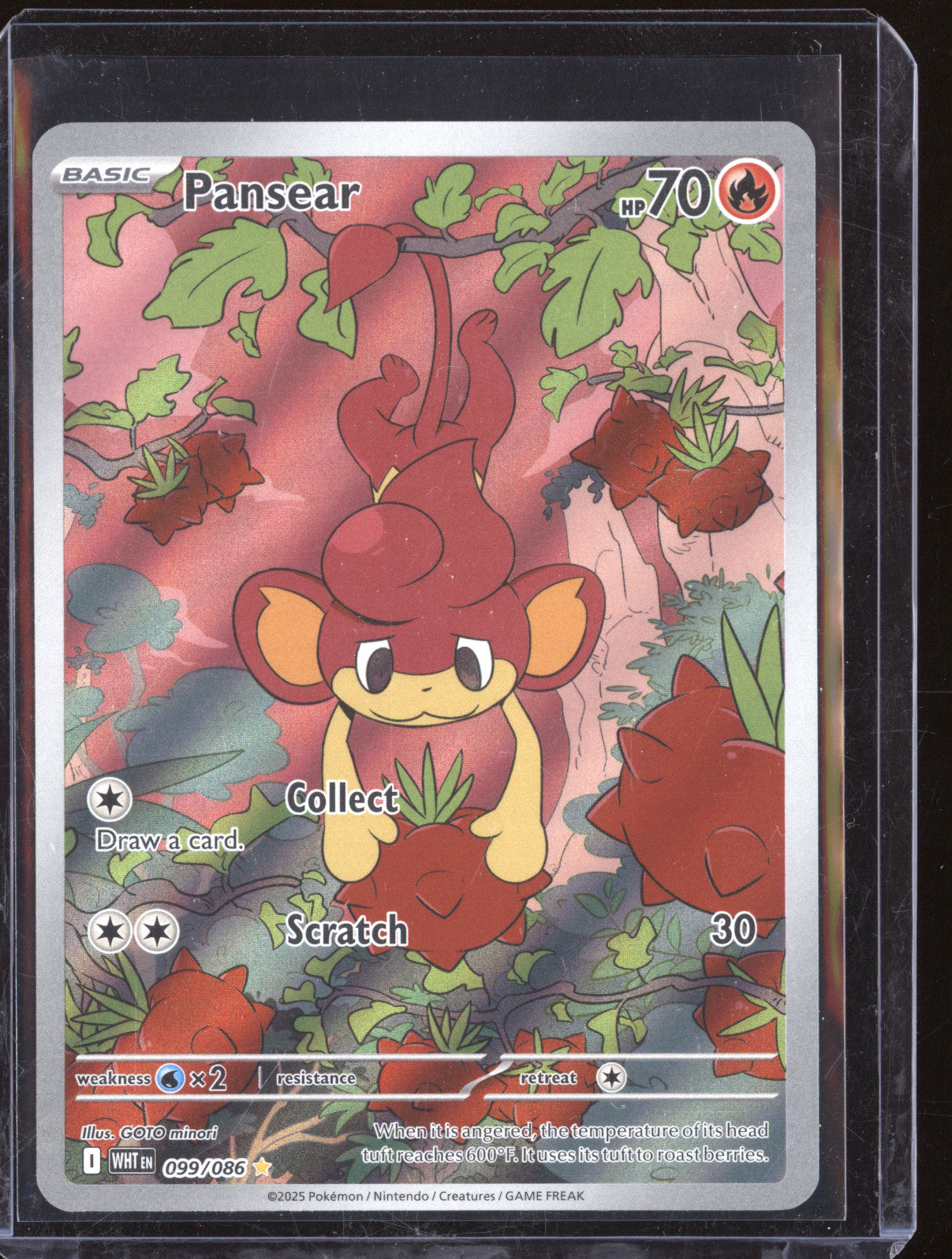 Pansear 2025 Pokemon White Flare 099/086 Illustration Rare