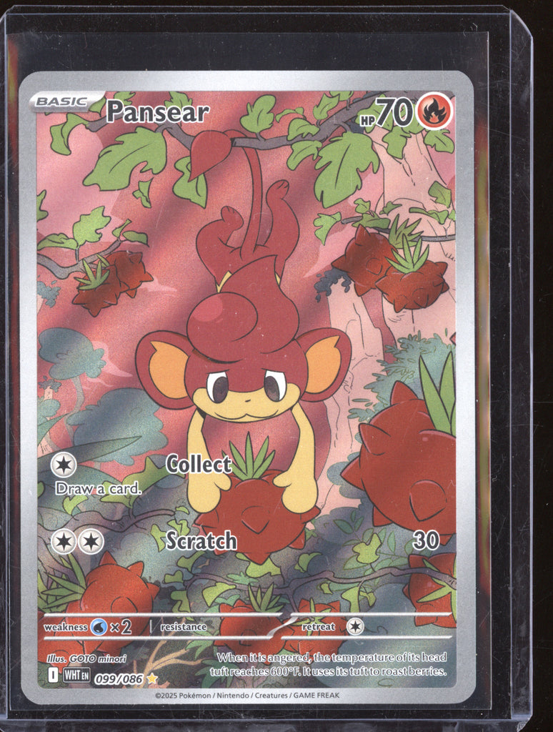 pokemon pansear card Pansear 2025 Pokemon White Flare 099/086 Illustration Rare