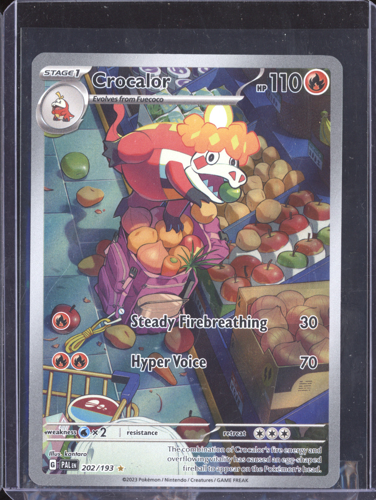 Crocalor 2023 Pokemon Paldea Evolved 202 Illustration Rare