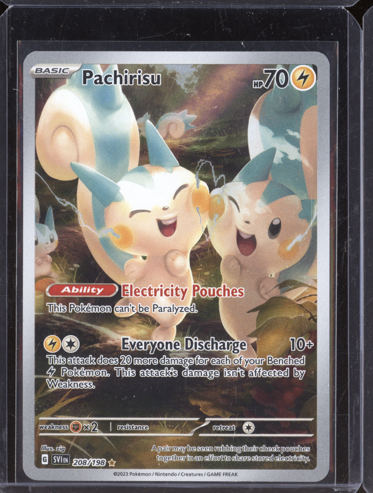 Pachirisu 2023 Pokemon Scarlet & Violet 208/198 Illustration Rare