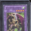 Fiend Skull Dragon 2001 Yugioh Struggle of Chaos SC-39 Super Rare