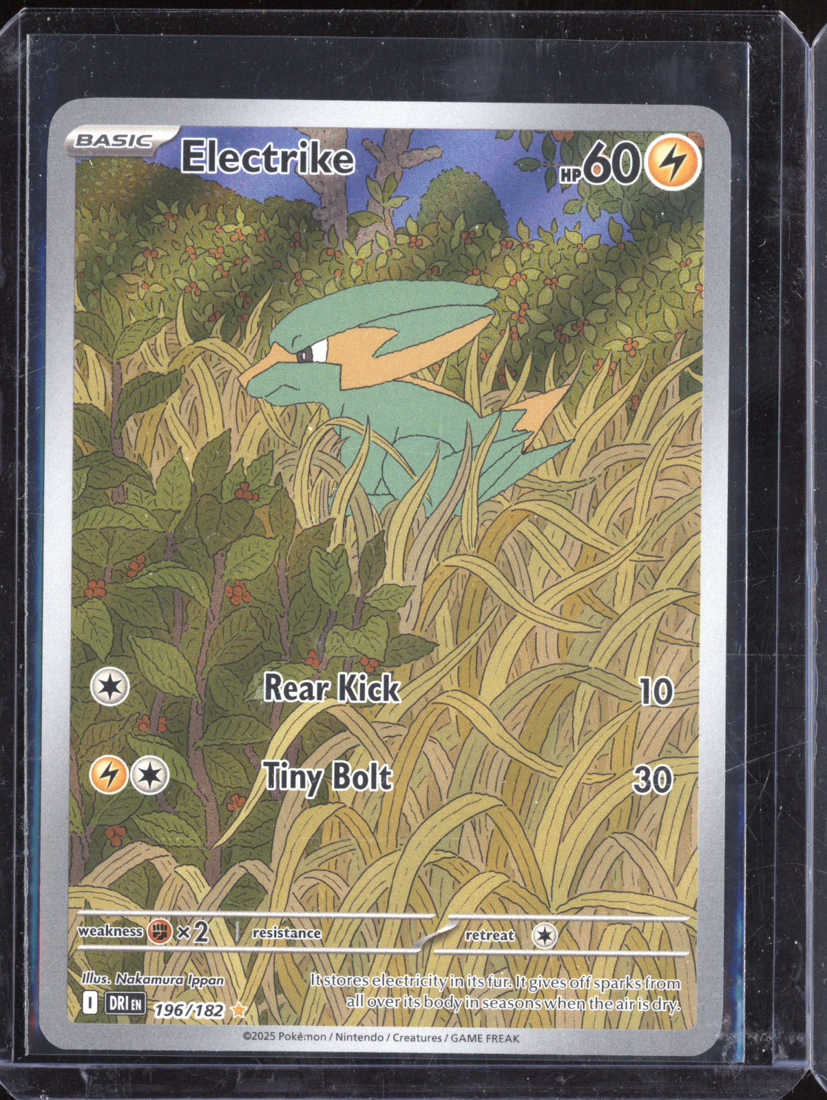 Electrike 2025 Pokemon Destined Rivals 196/182 Illustration Rare