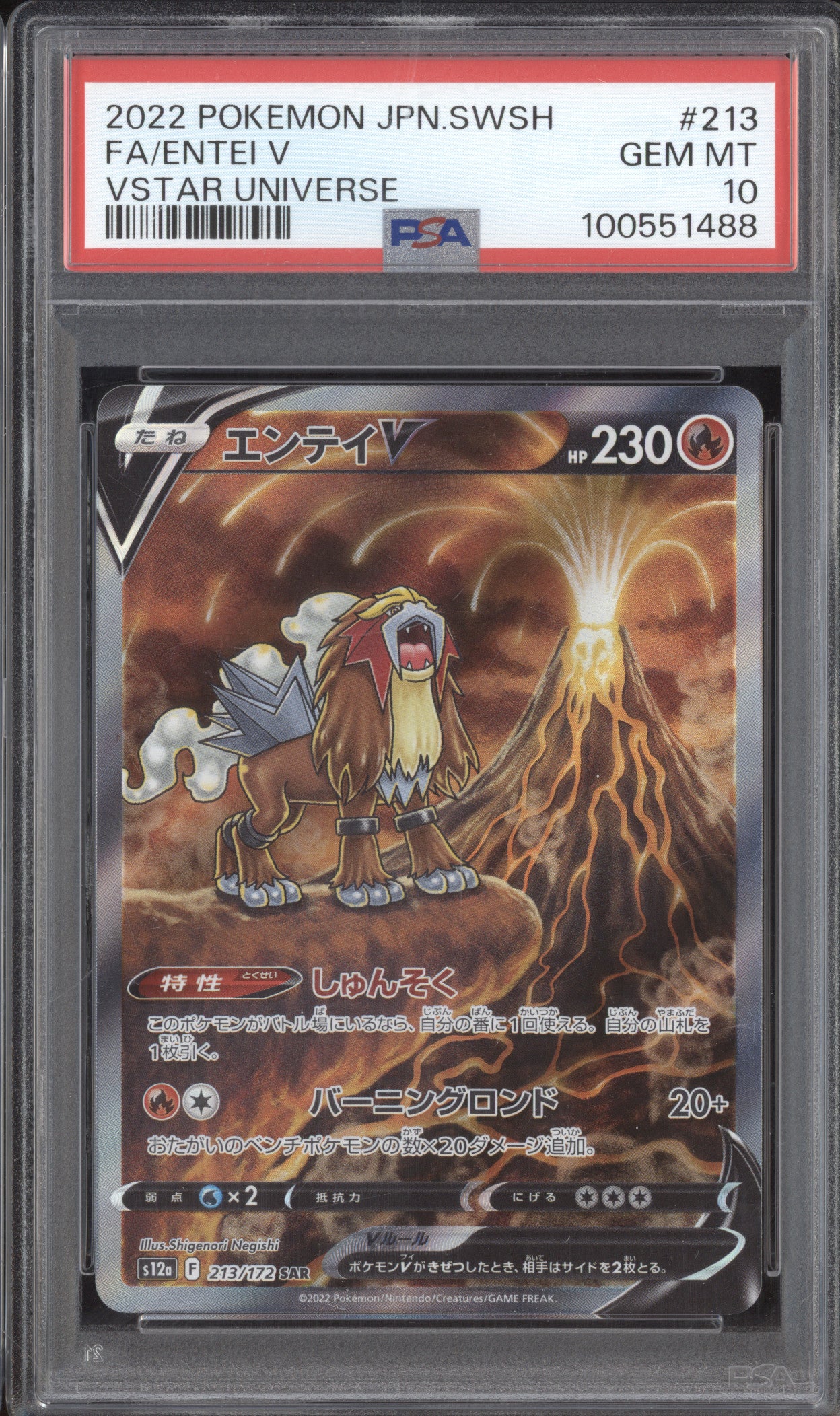 Entei V 2022 Pokemon VStar Universe 213/172 Special Art Rare PSA 10
