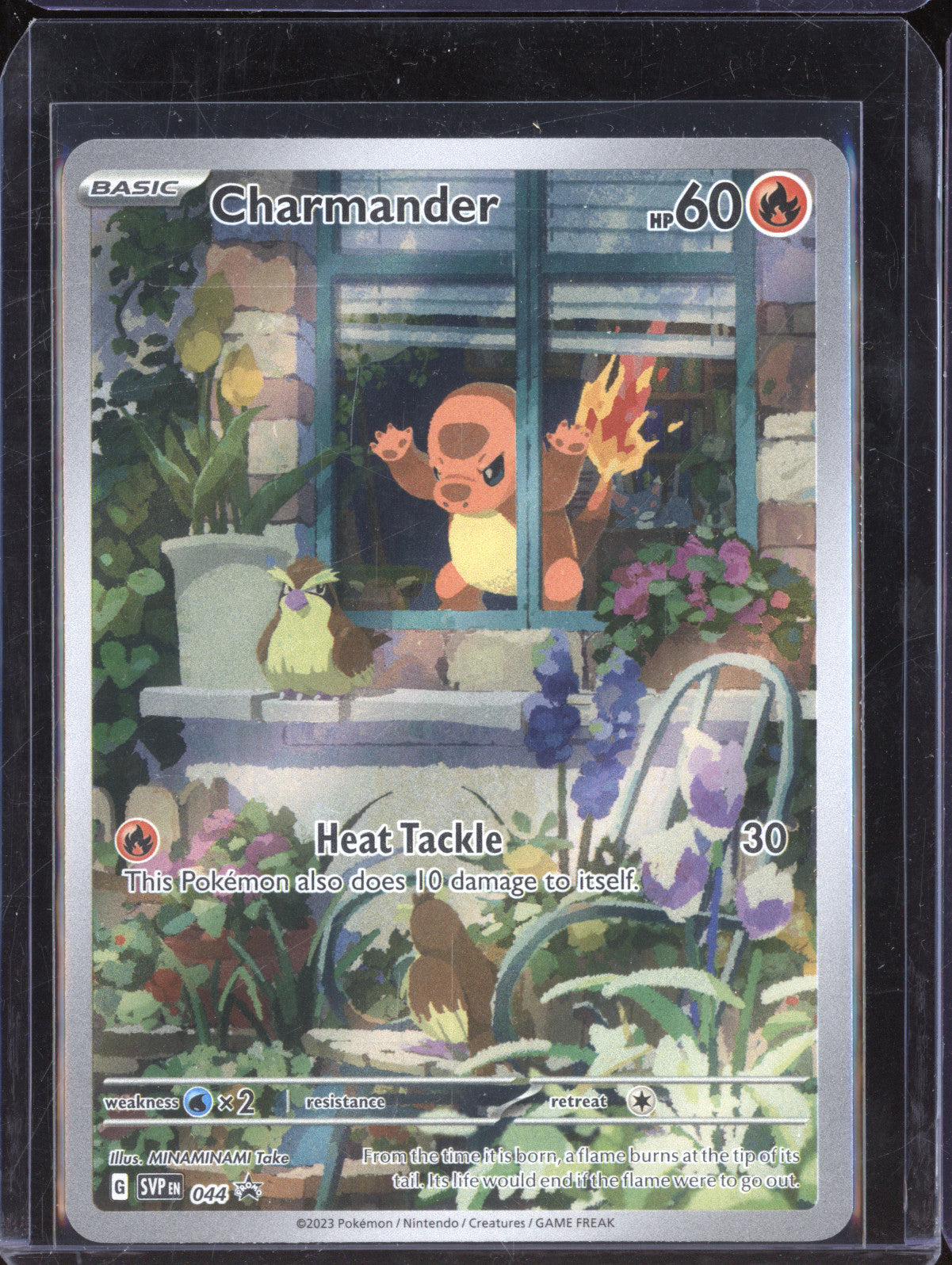 Charmander 2023 Pokemon Scarlet & Violet Promos 44 Illustration Rare