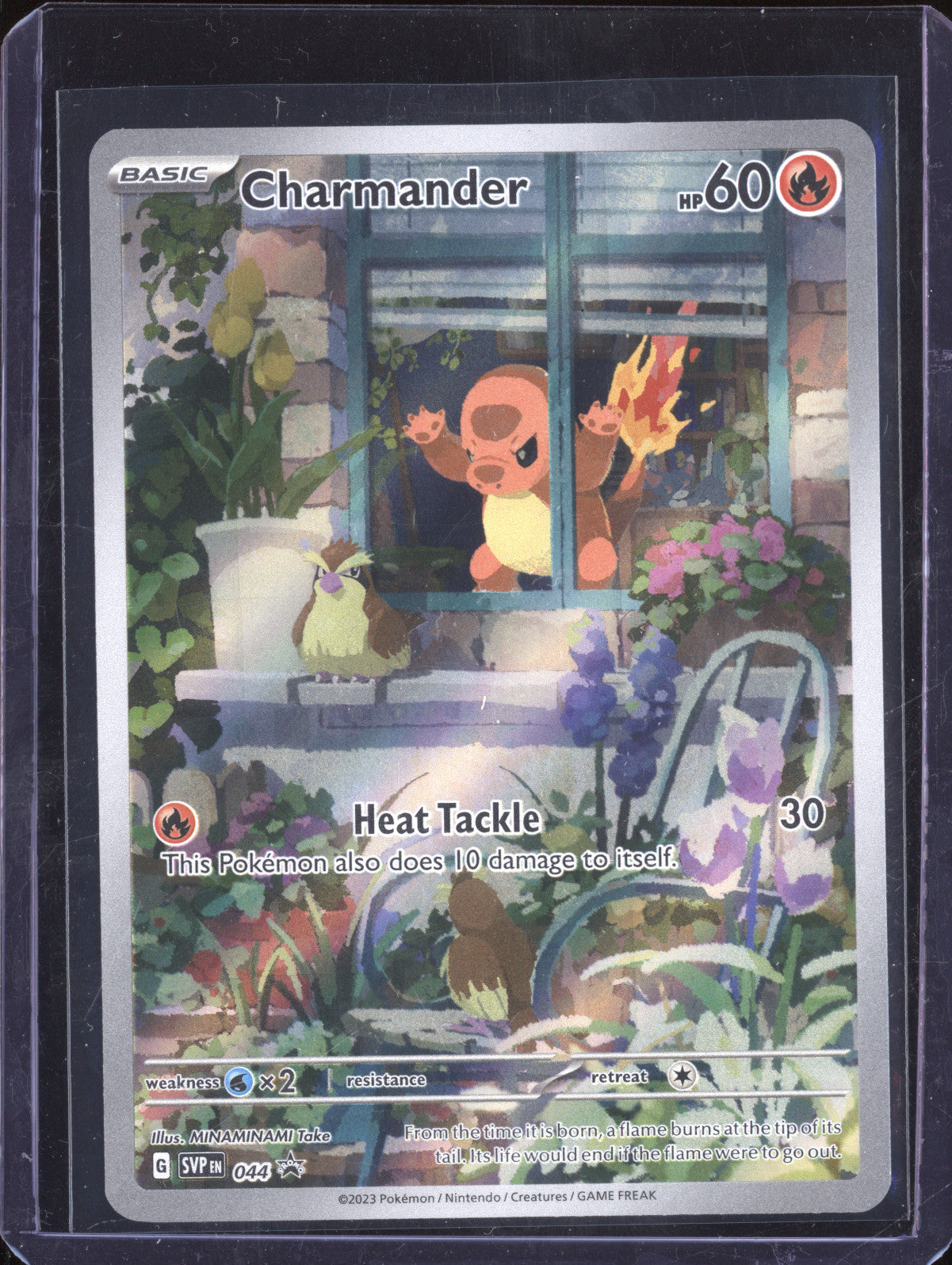 Charmander 2023 Pokemon Scarlet & Violet Promos 44 Illustration Rare