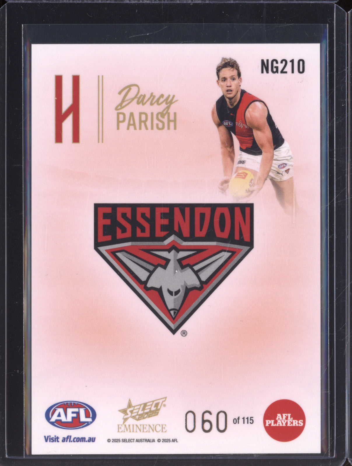2025 AFL Select Eminence Nameplate NG210 Darcy Parish 060/115