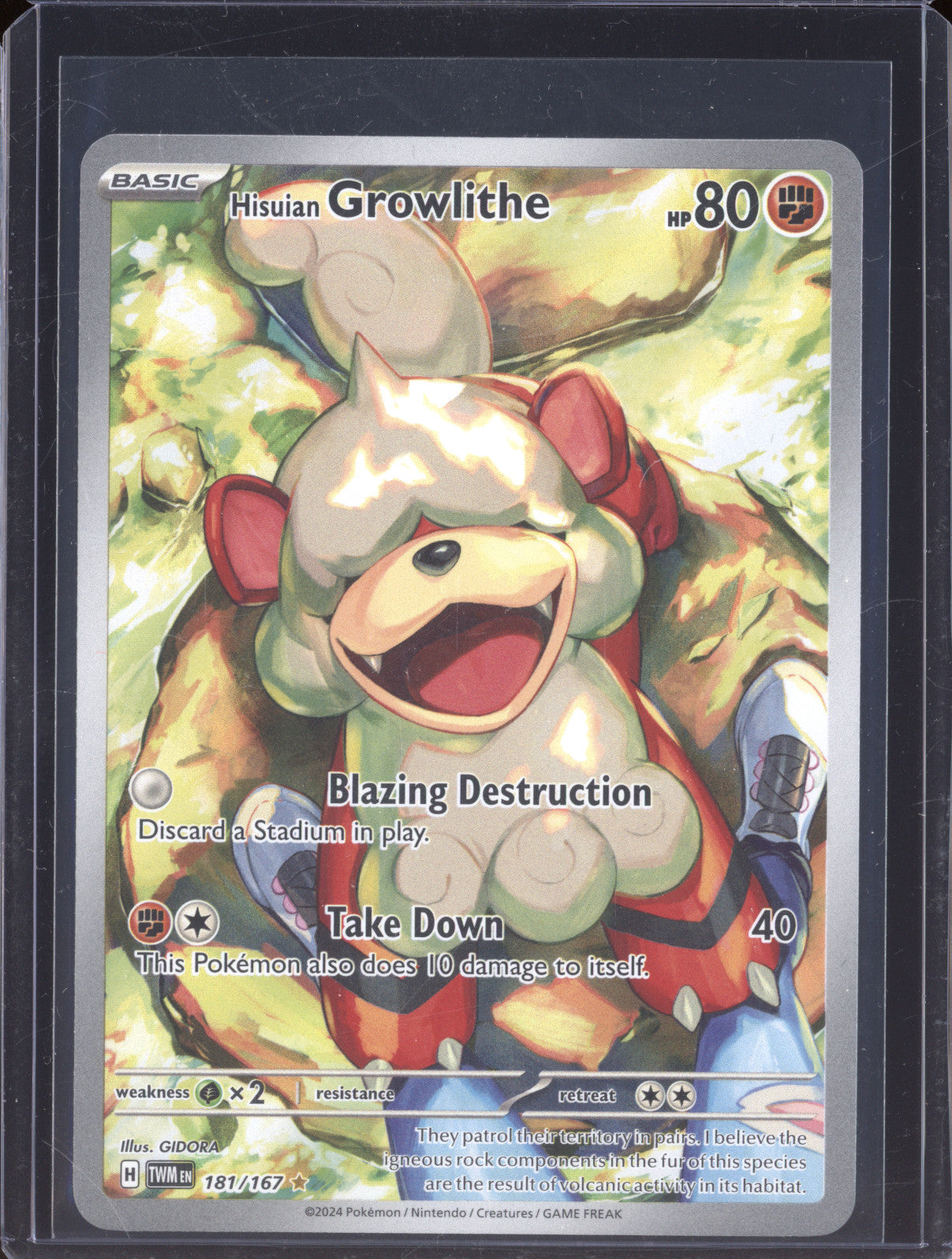 Hisuian Growlithe 2024 Panini Twilight Masquade TWM 181/167 Illustration Rare