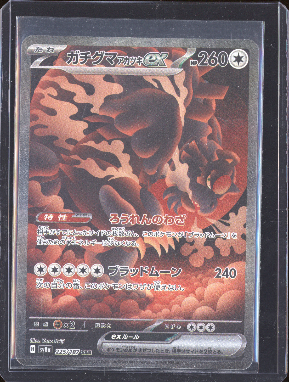 Bloodmoon Ursaluna ex 2024 Pokemon JPN Terastal Fest ex 225/187 SAR