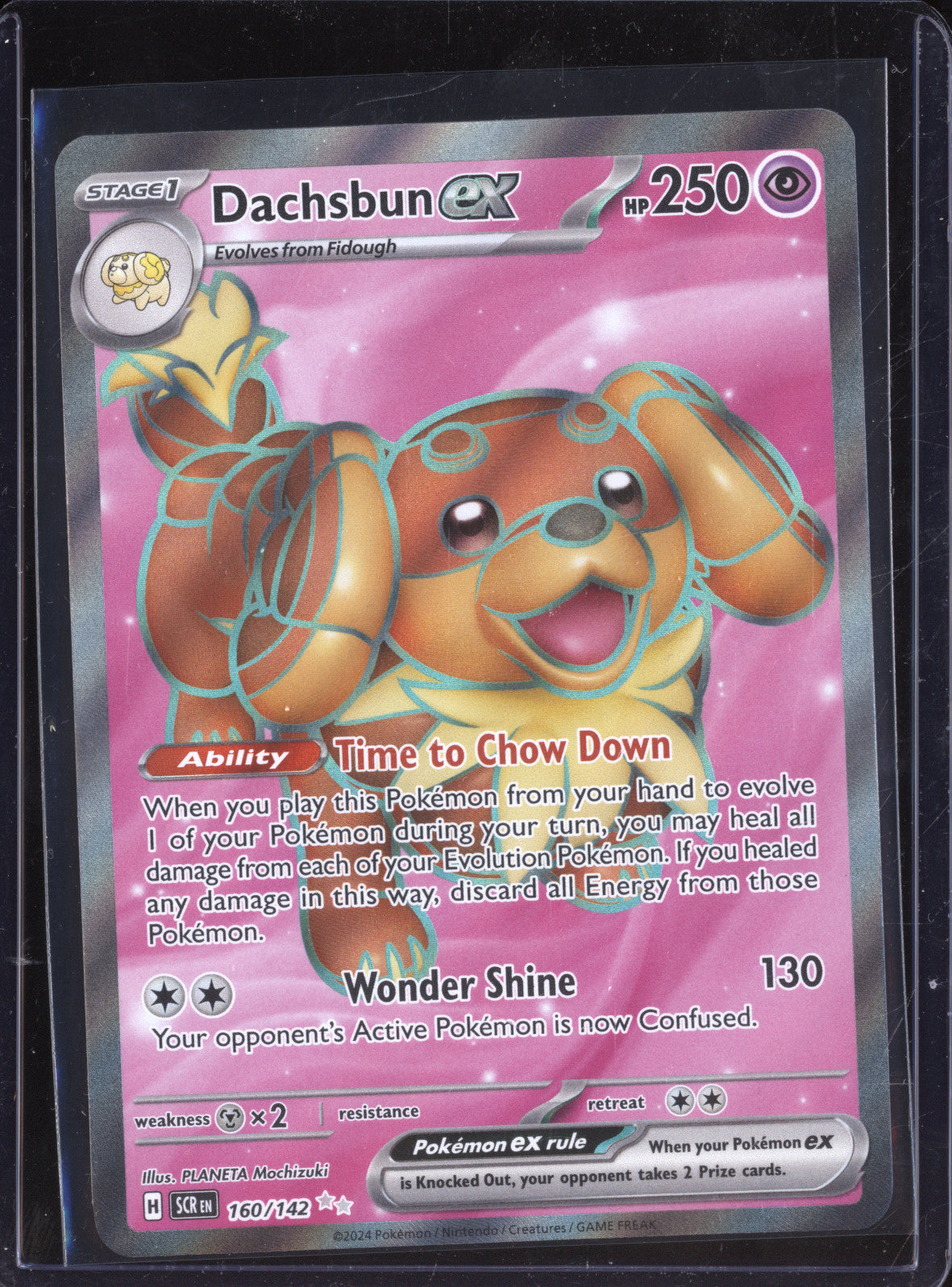 Dachsbun ex 2024 Pokemon Stellar Crown 160/142 Ultra Rare