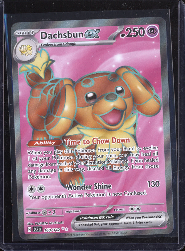 Dachsbun ex 2024 Pokemon Stellar Crown 160/142 Ultra Rare