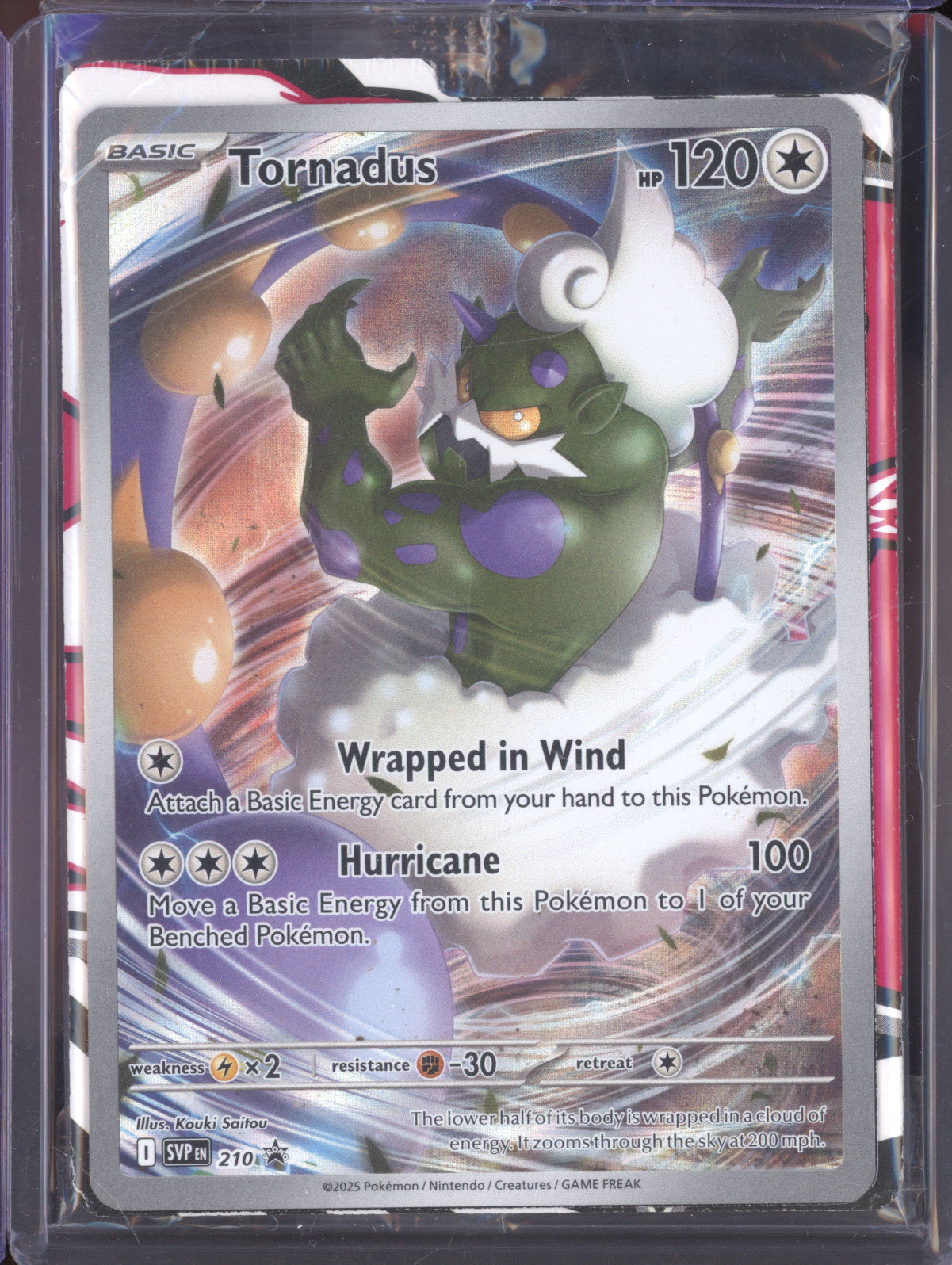 Tornadus 2025 Pokemon Scarlet & Violet Promos 210 Black Star Promo
