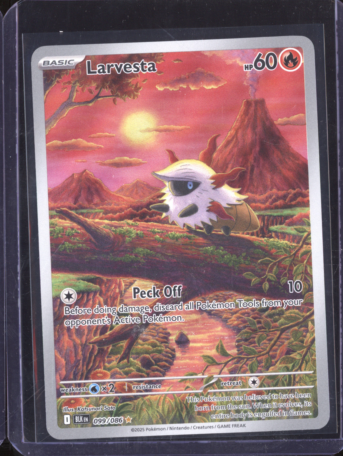 Larvesta 2025 Pokemon Black Bolt 099/086 Illustration Rare