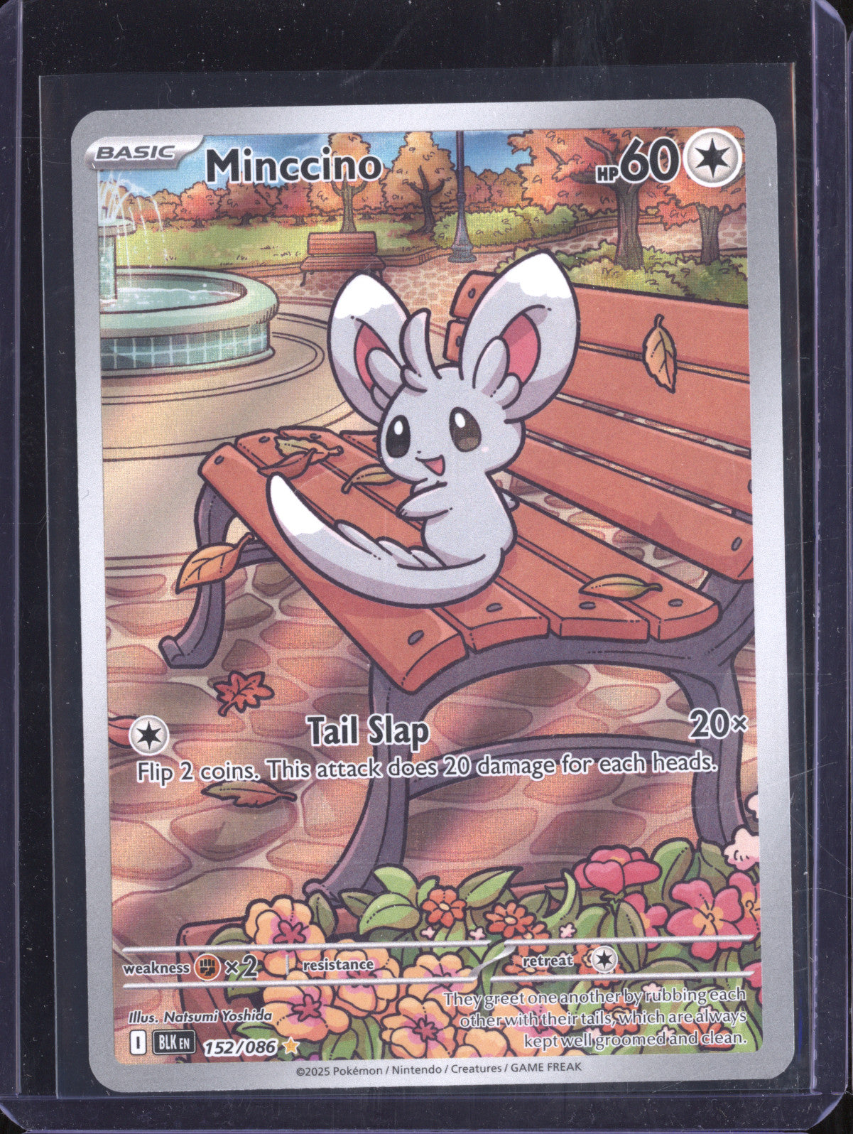 Minccino 2025 Pokemon Black Bolt 152/086 Illustration Rare