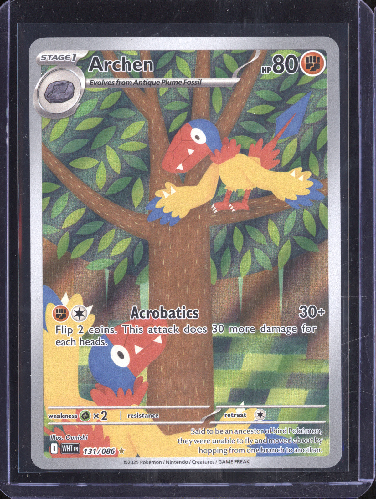 Archen 2025 Pokemon White Flare 131/086 Illustration Rare