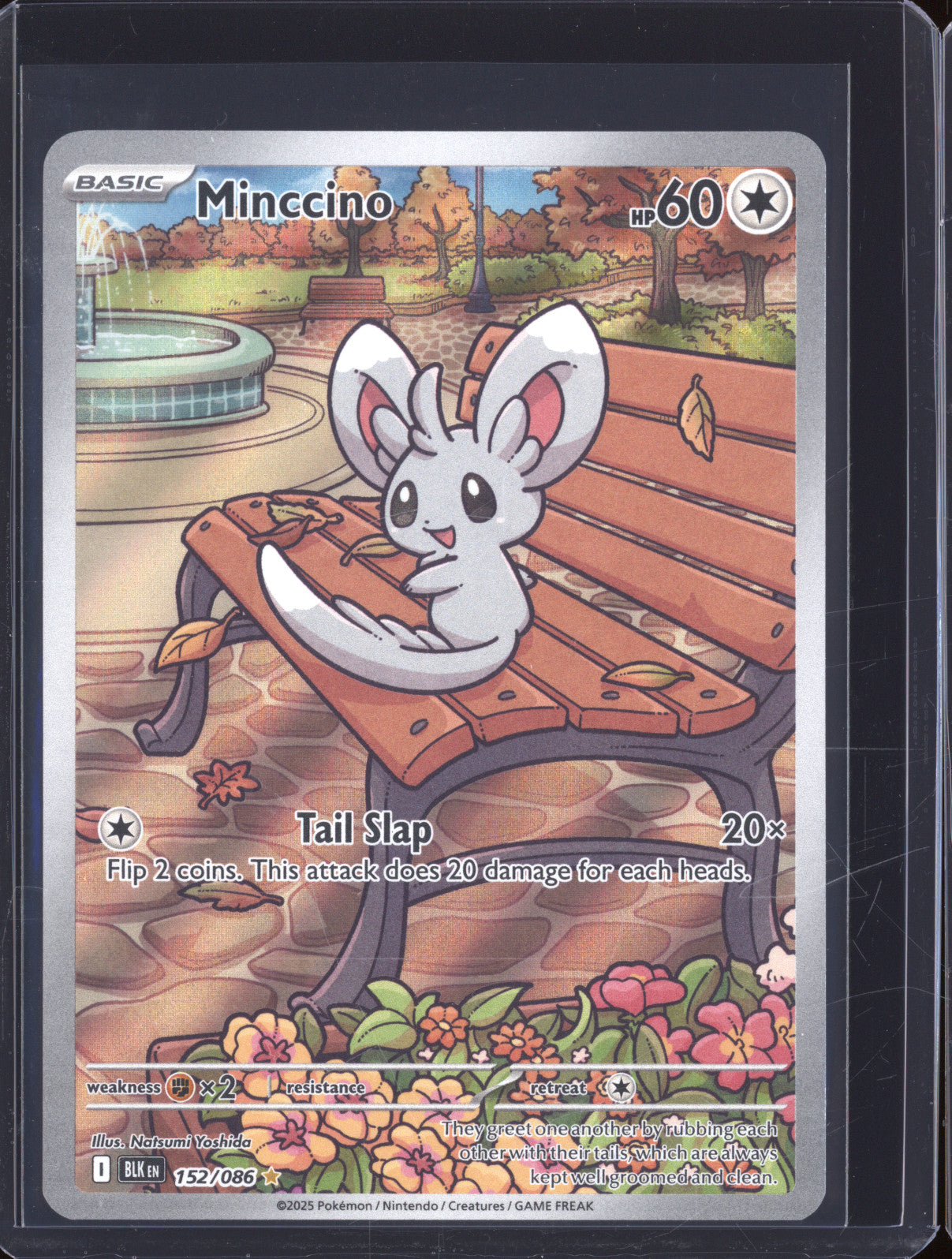 2025 Pokemon Black Bolt BLK 152/086 Minccino Illustration Rare