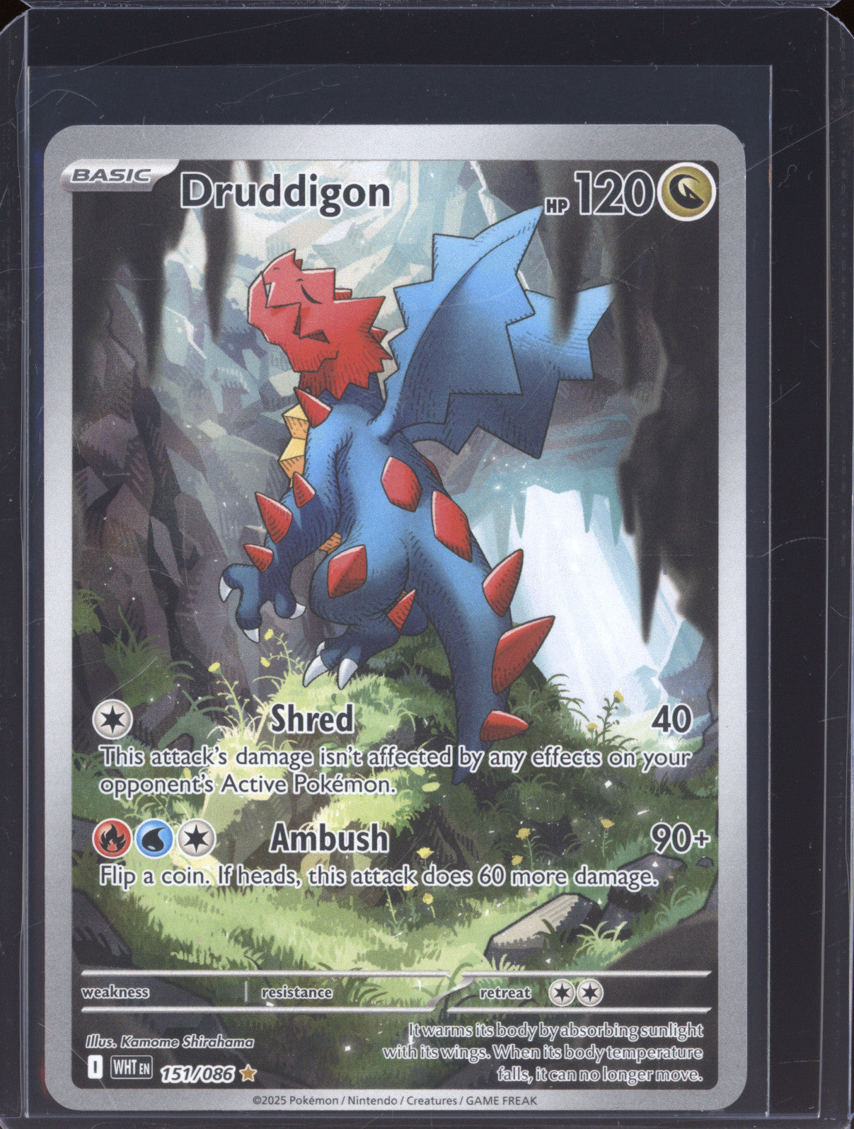 2025 Pokemon White Flare 151/086 Druddigon Illustration Rare