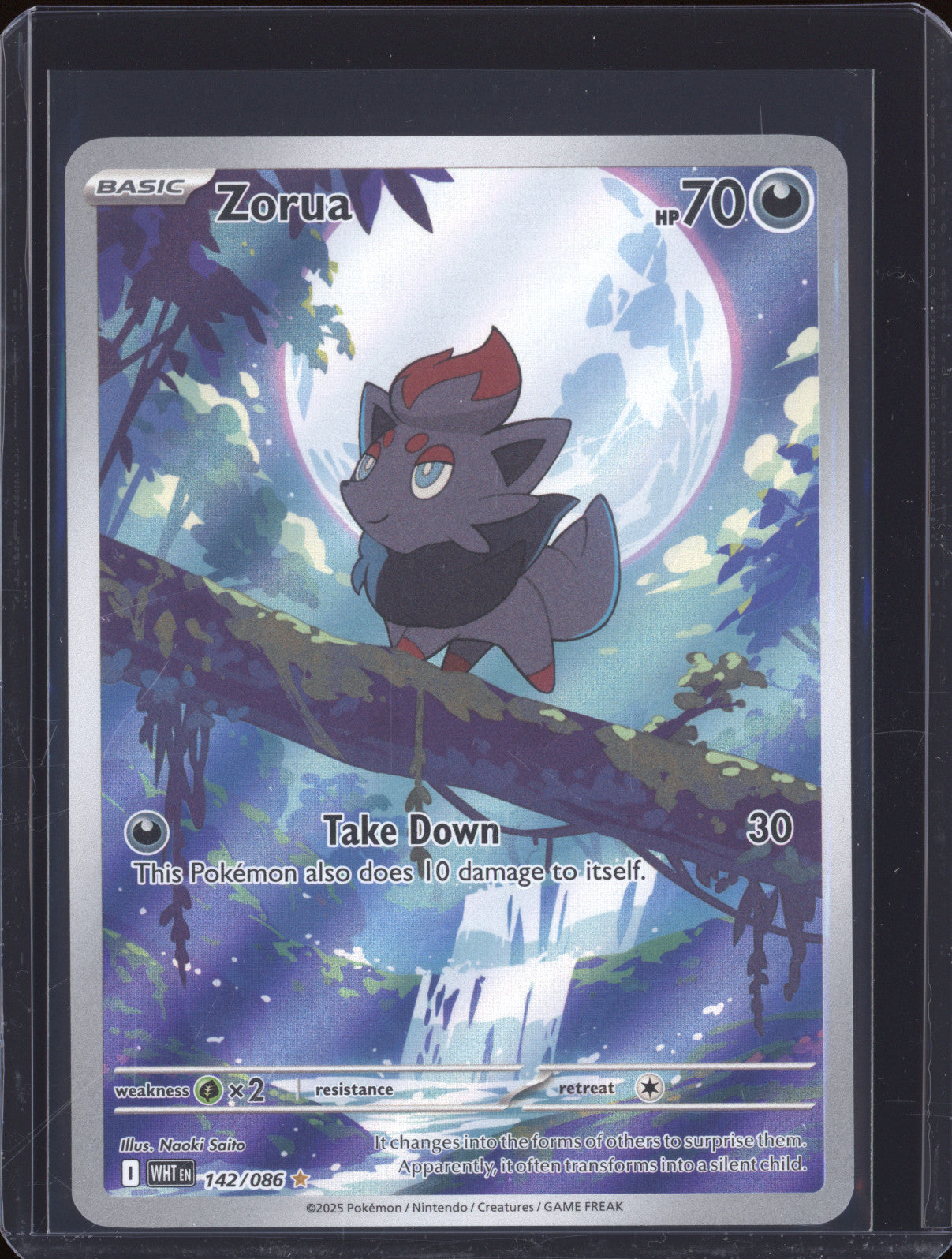 2025 Pokemon White Flare 142/086 Zorua Illustration Rare