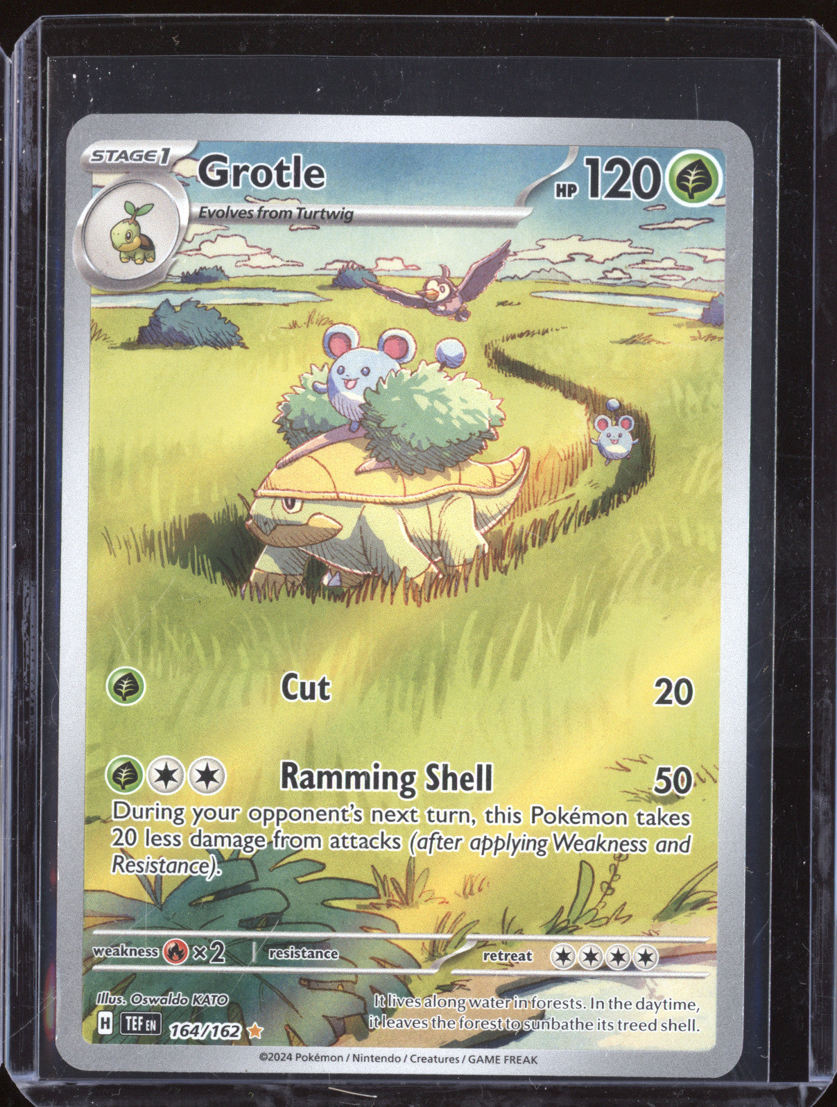 Grotle 2024 Pokemon Temporal Forces TEF 164/162 Illustration Rare