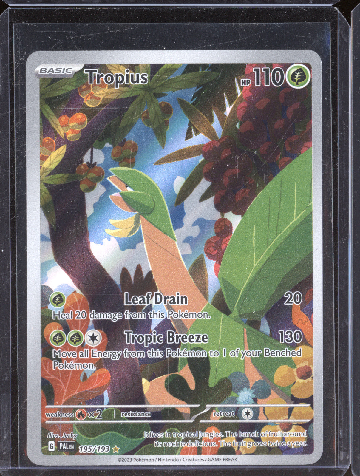 Tropius 2023 Pokemon Paldea Evolved 195/193 Illustration Rare