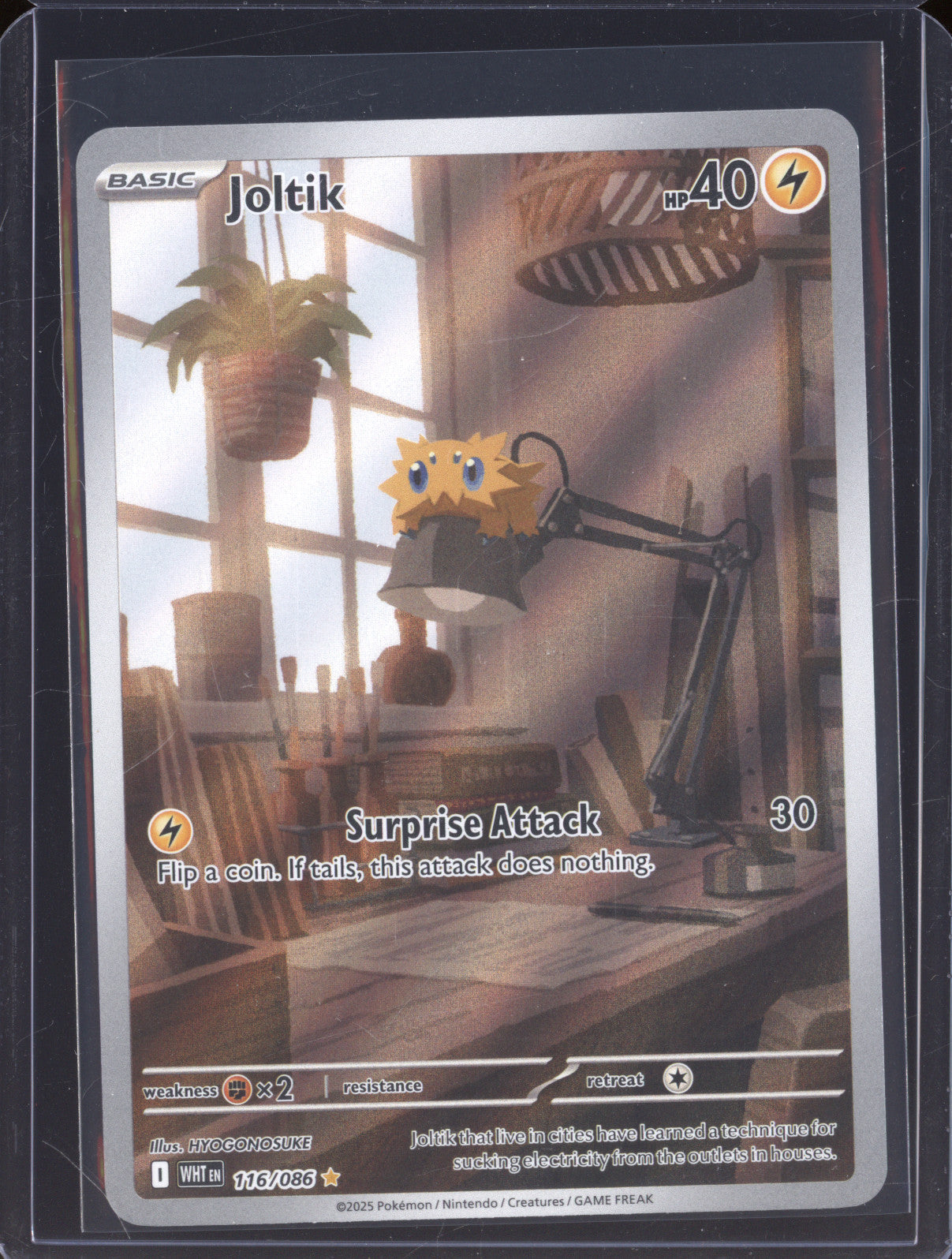 Joltik 2025 Pokemon White Flare WHT 116/086 Illustration Rare
