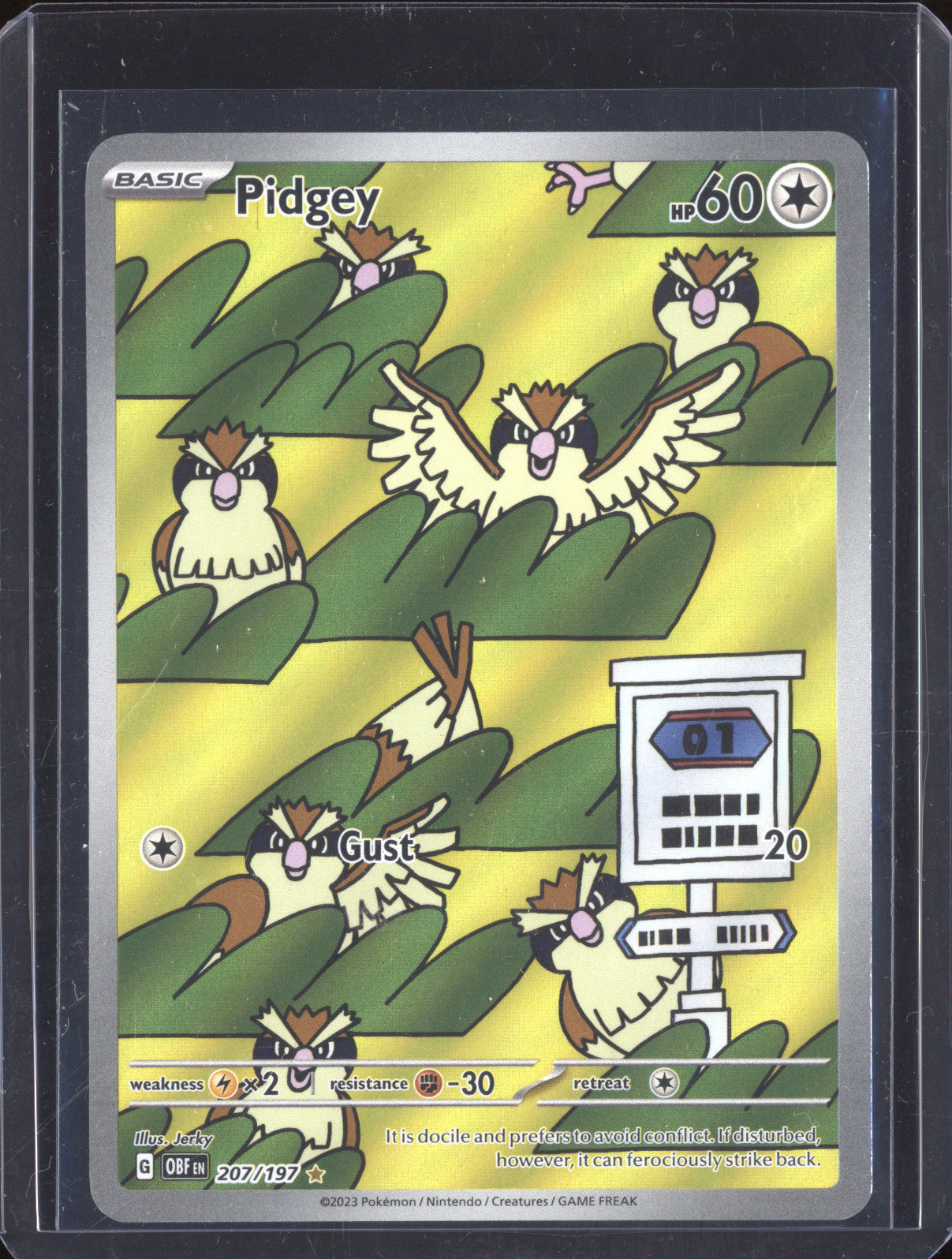 Pidgey 2023 Pokemon Obsidian Flames OBF 207/197 Illustration Rare