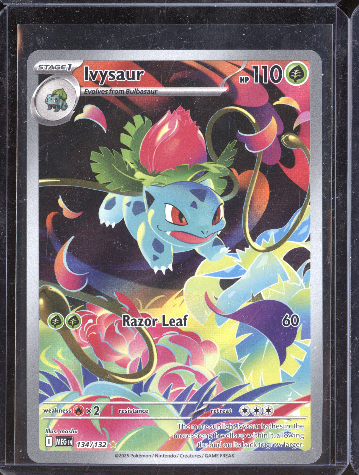 2025 ポケモンカード Ivysaur ART RARE 2025 Pokemon Mega Evolution 134/132 Ivysaur Illustration Rare