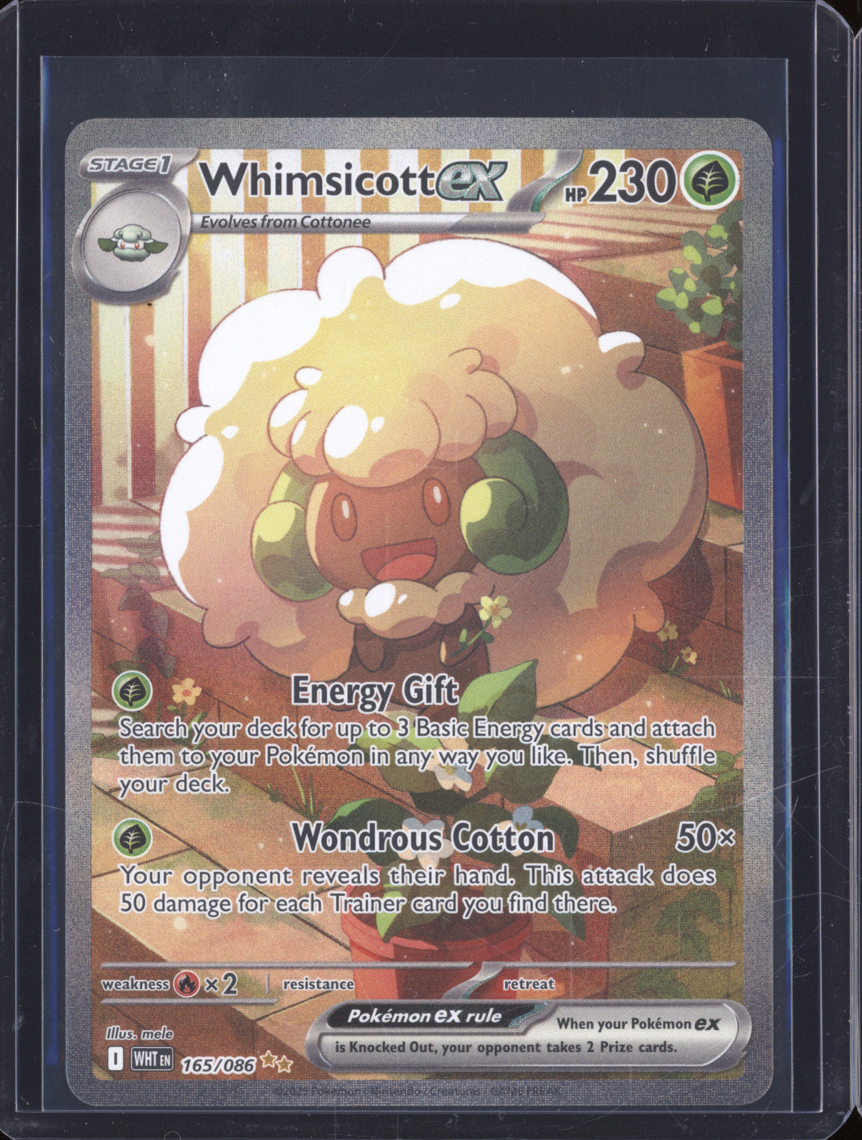 Whimsicott ex 2025 Pokemon White Flare WHT 165/086 Special Illustration Rare