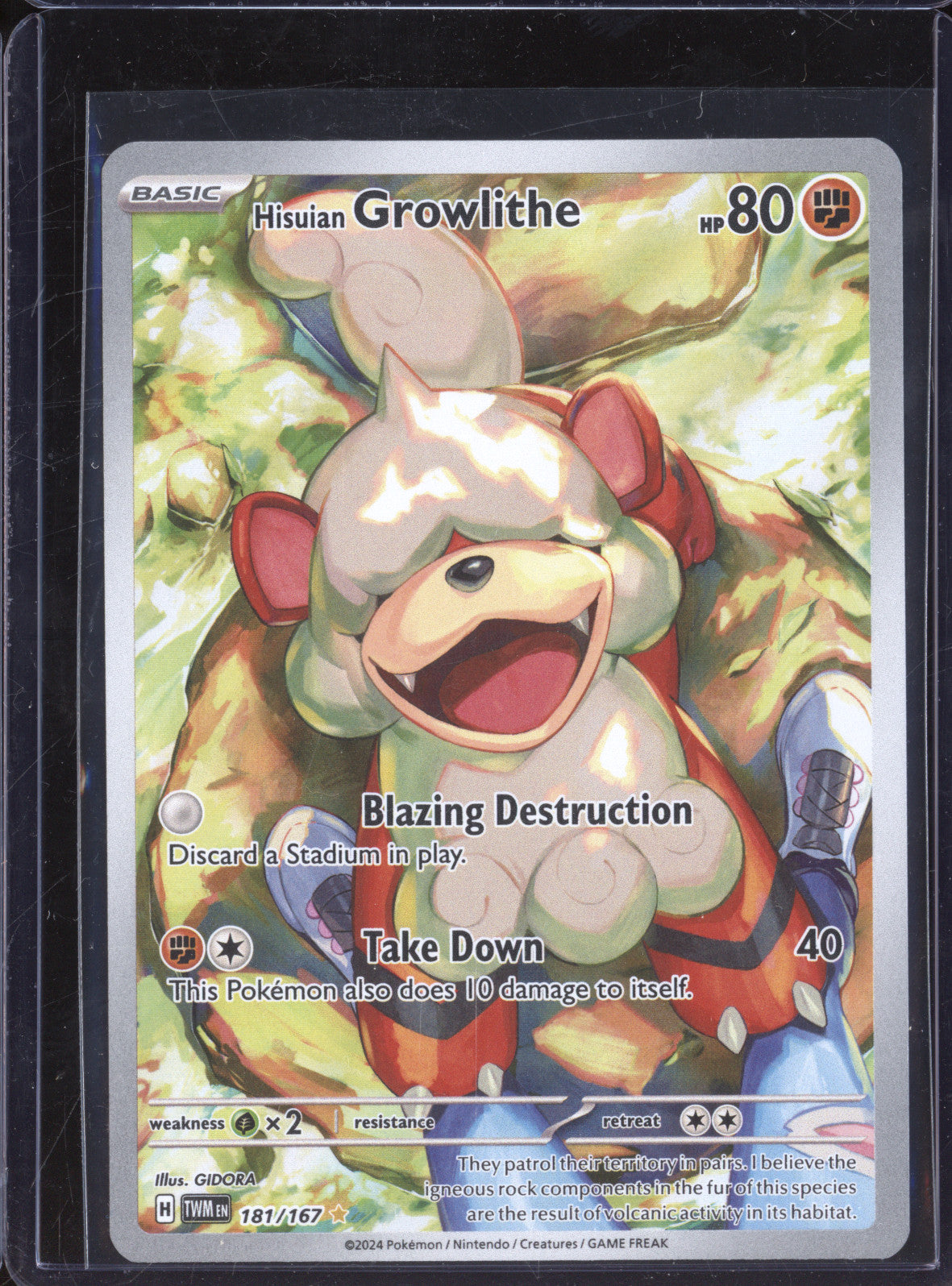 Hisuian Growlithe 2024 Pokemon Twilight Masquerade 181/167 Illustration Rare