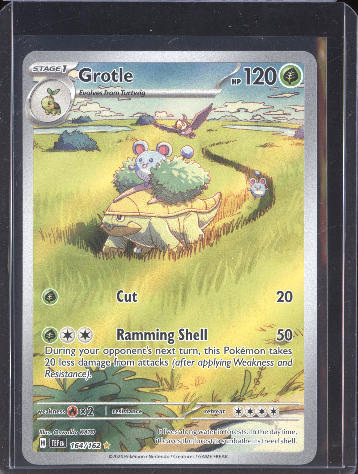 Grotle 2024 Pokemon Temporal Forces TEF 164/162 Illustration Rare