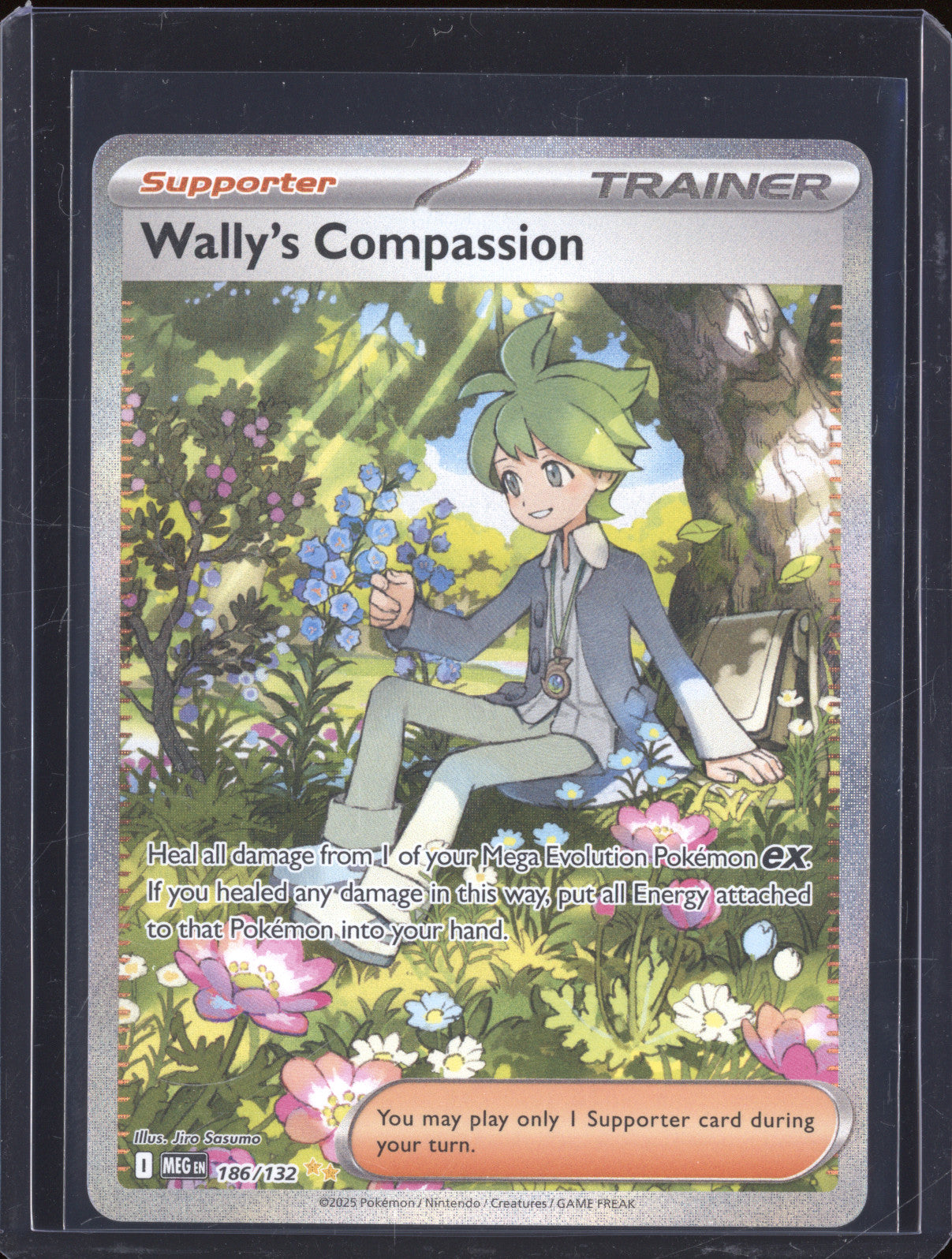 2025 Pokemon Mega Evolutions 186/132 Wally's Compassion Special Illustration