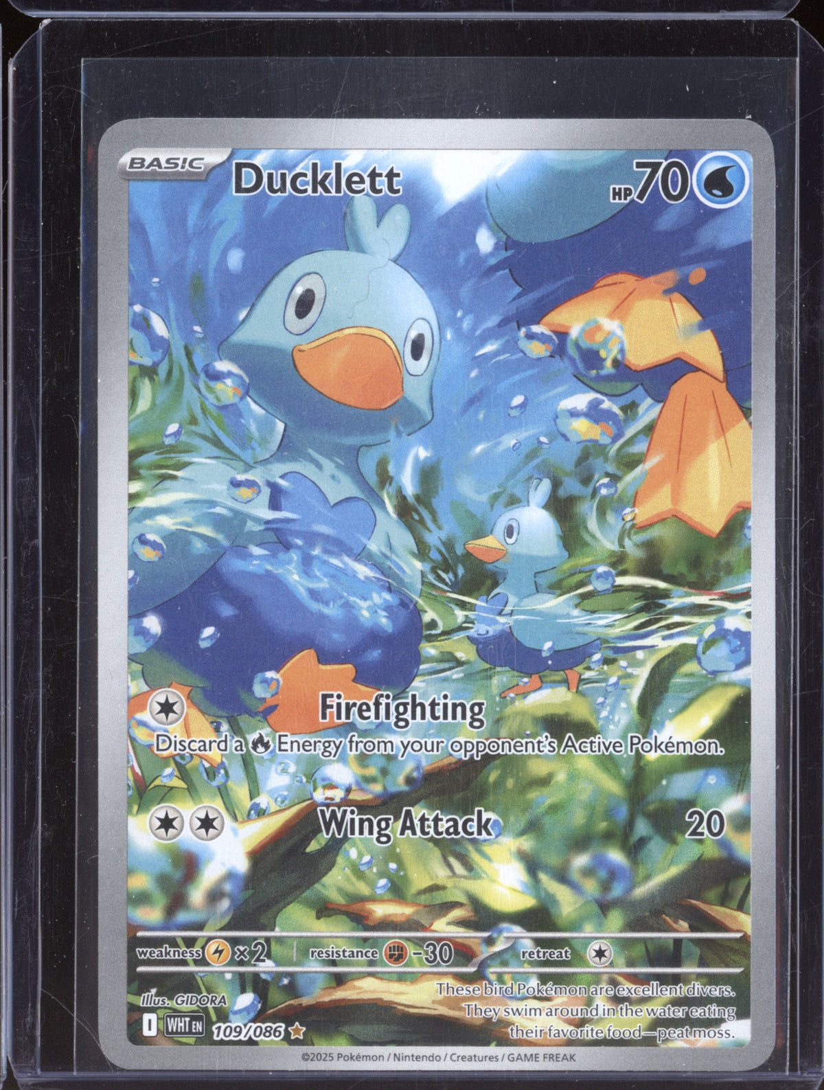 ducklett pokemon card Ducklett 2025 Pokemon White Flare WHT 109/086 Illustration Rare