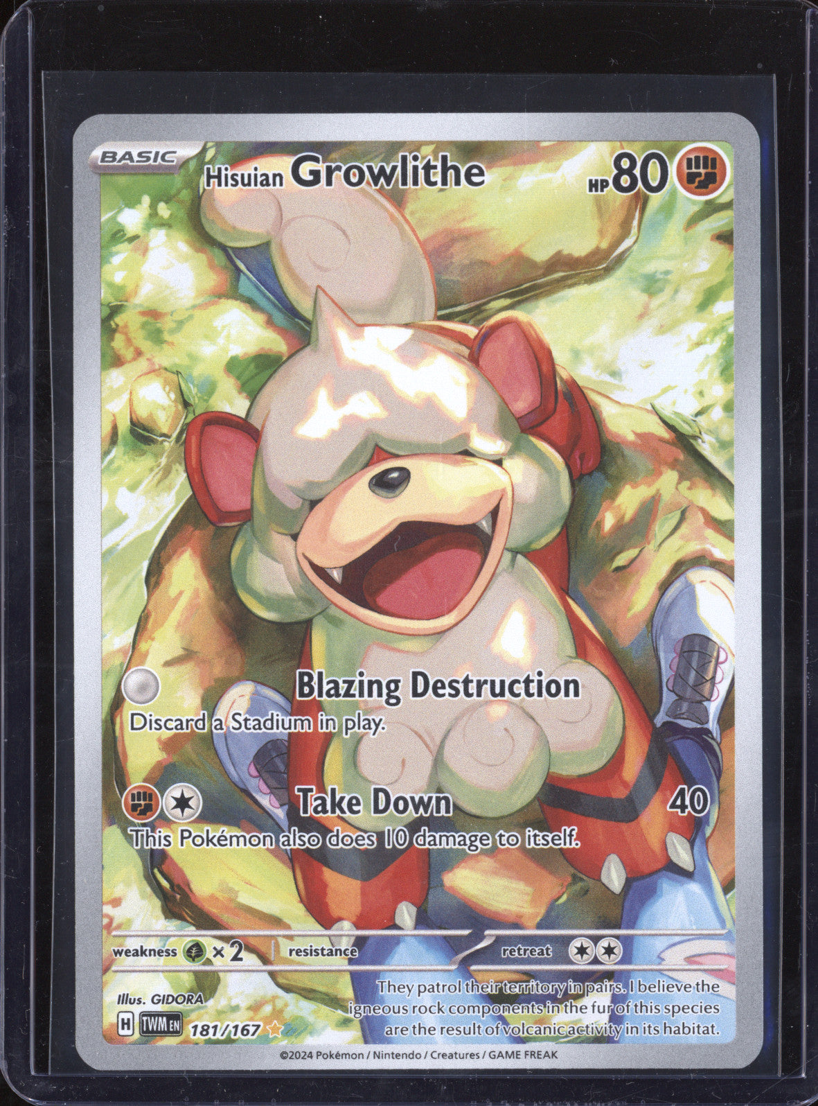 Hisuian Growlithe 2024 Pokemon Twilight Masquerade 181/167 Illustration Rare