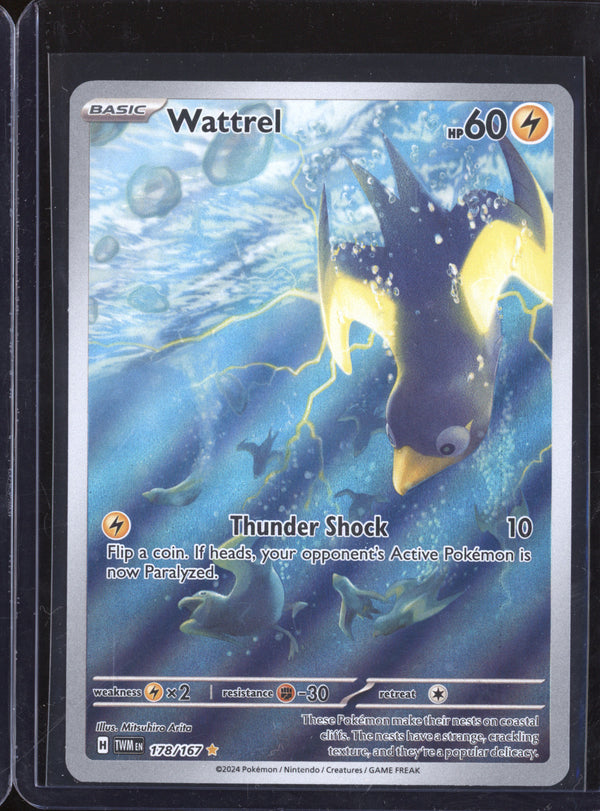 Wattrel 2024 Pokemon Twilight Masquerade 178/167 Illustration Rare