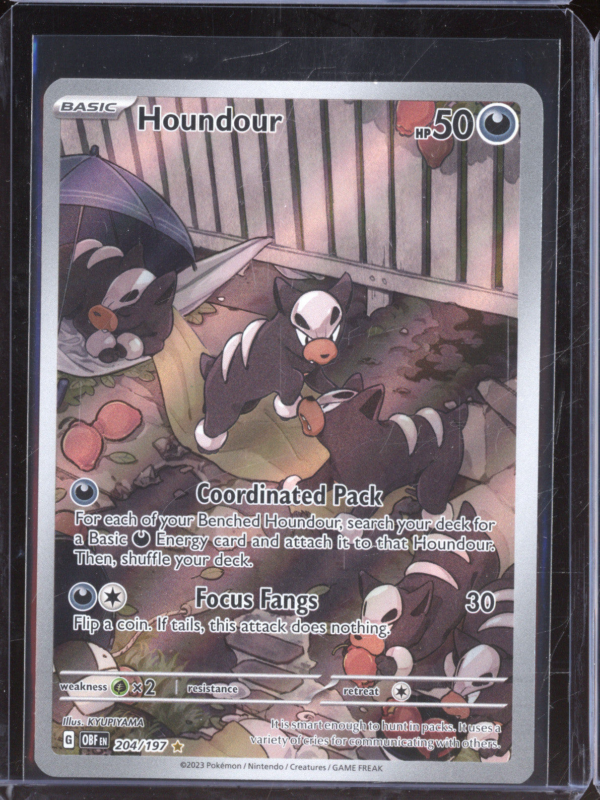 Houndour 2023 Pokemon Obsidian Flames OBF 204/197 Illustration Rare