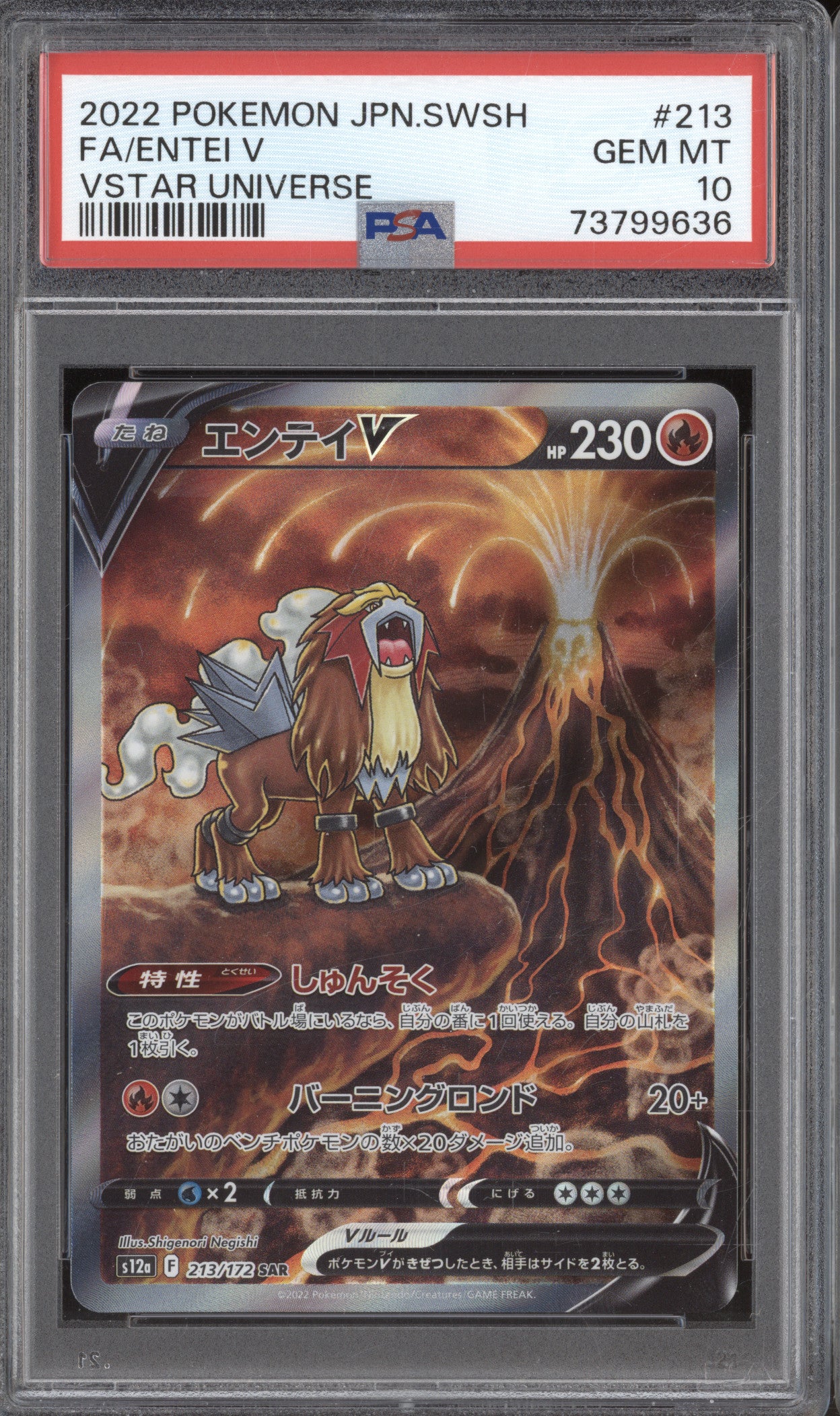 2022 Pokemon JP VSTAR Universe s12a 213/172 Entei V SAR PSA 10