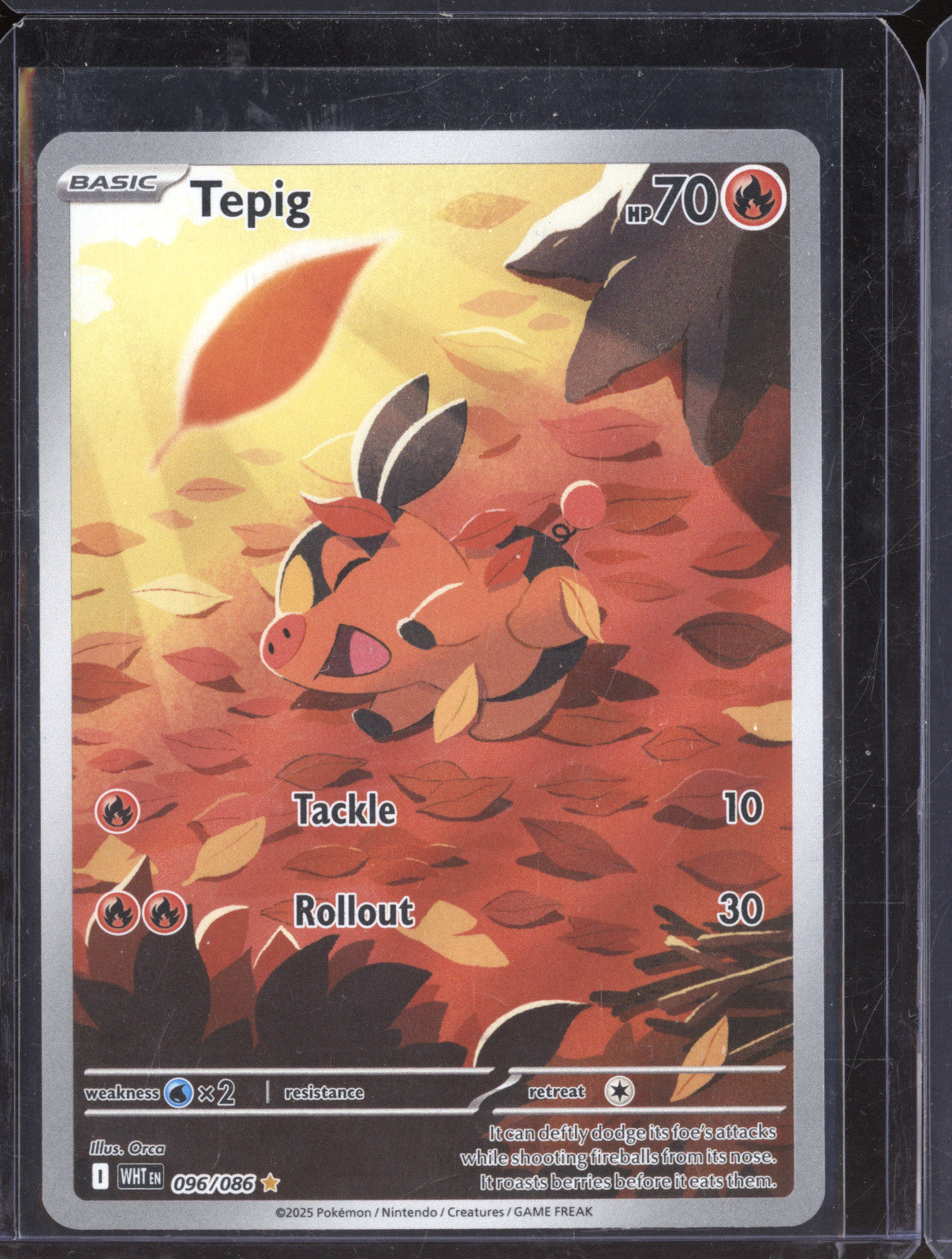 Tepig 2025 Pokemon White Flare WHT 096/086 Illustration Rare