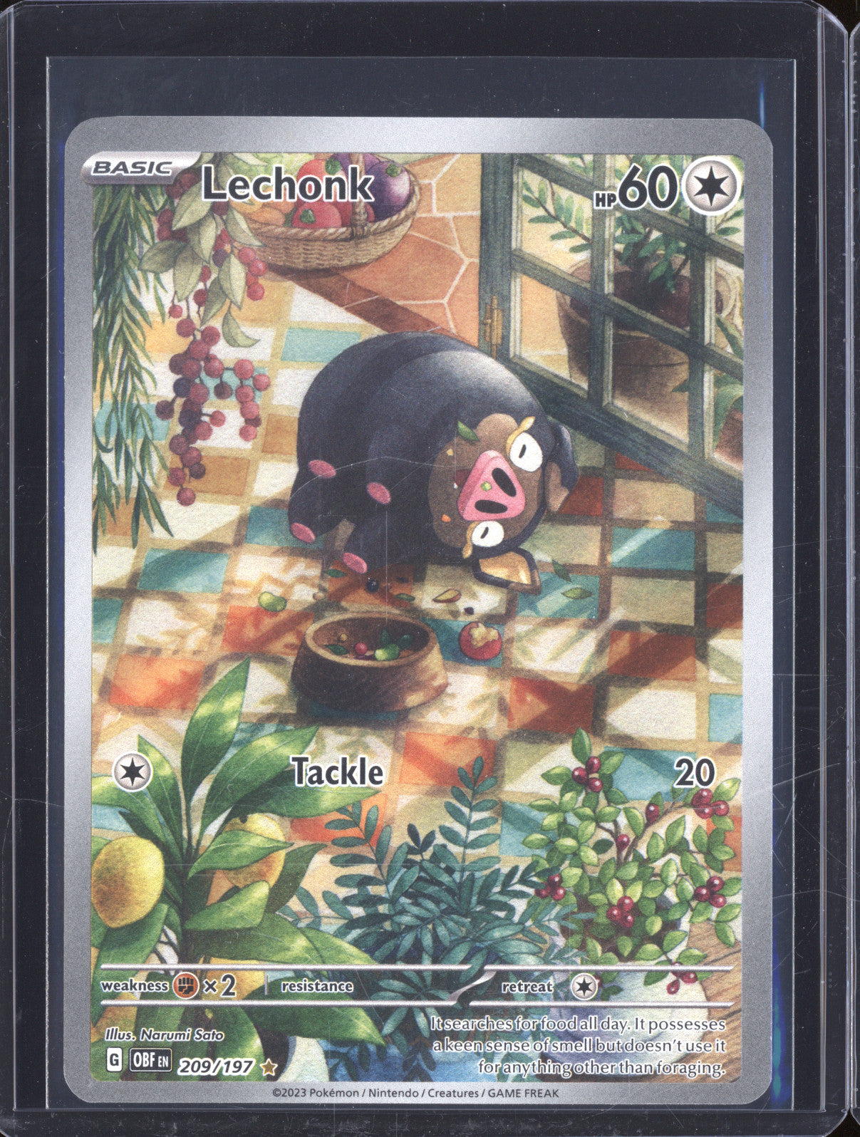 Lechonk 2023 Pokemon Obsidian Flames 209/197 Illustration Rare