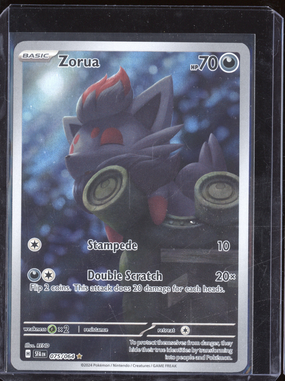 Zorua 2024 Pokemon Shrouded Fable SFA 075/064 Illustration Rare