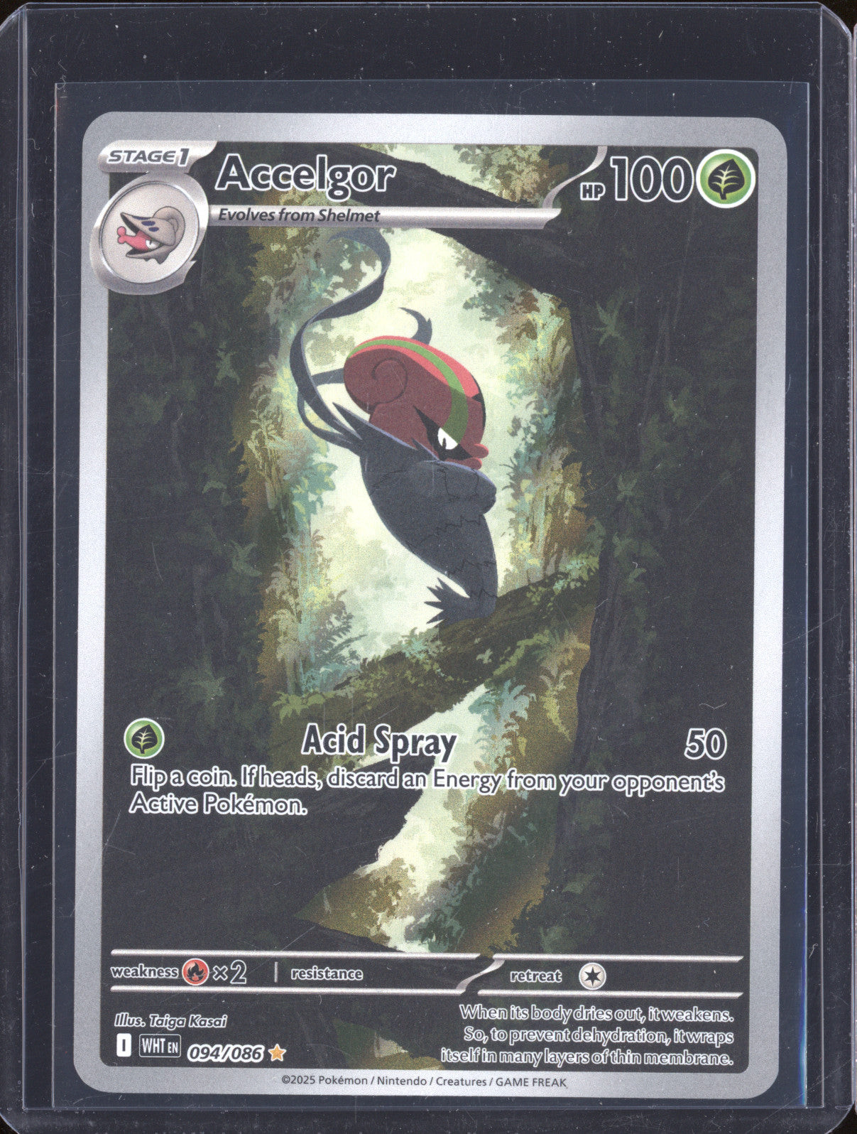Accelgor 2025 Pokemon White Flare 094/086 Illustration Rare