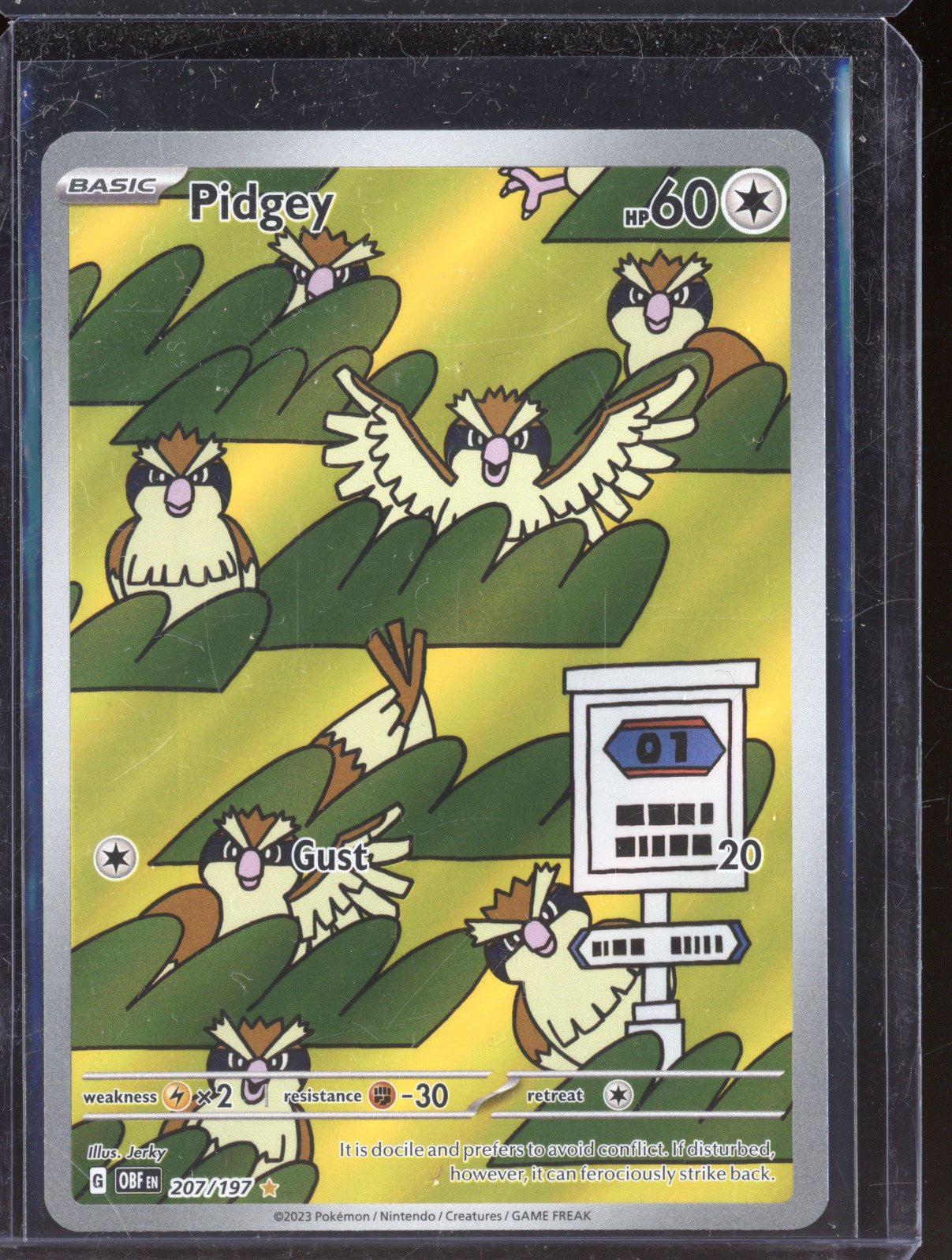 Pidgey 2023 Pokemon Obsidian Flames OBF 207/197 Illustration Rare