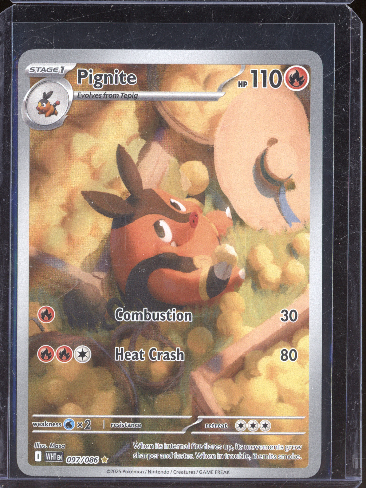 Pignite 2025 Pokemon White Flare WHT 097/086 Illustration Rare