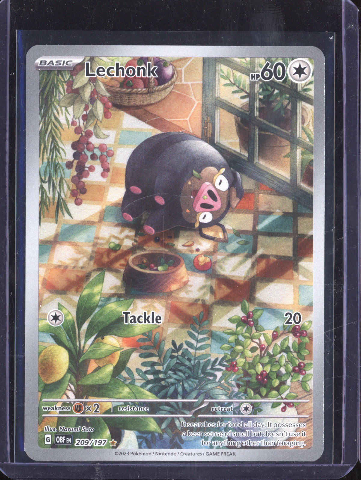 Lechonk 2023 Pokemon Obsidian Flames 209/197 Illustration Rare