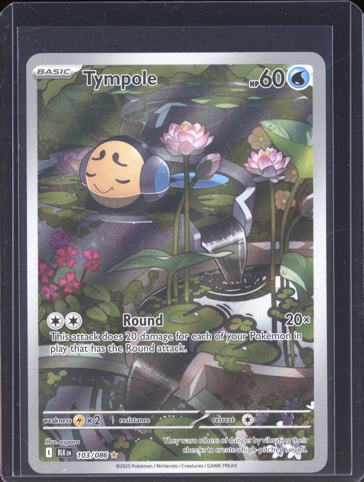 Tympole 2025 Pokemon Black Bolt BLK 103/086 Illustration Rare