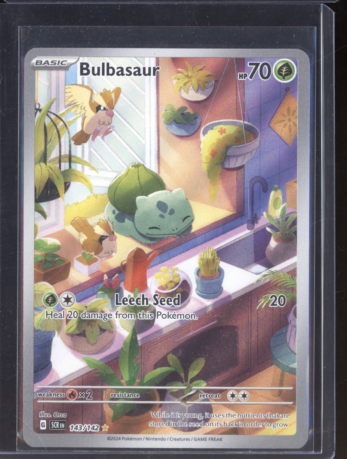 Bulbasaur 2024 Pokemon Stellar Crown SCR 143/142 Illustration Rare