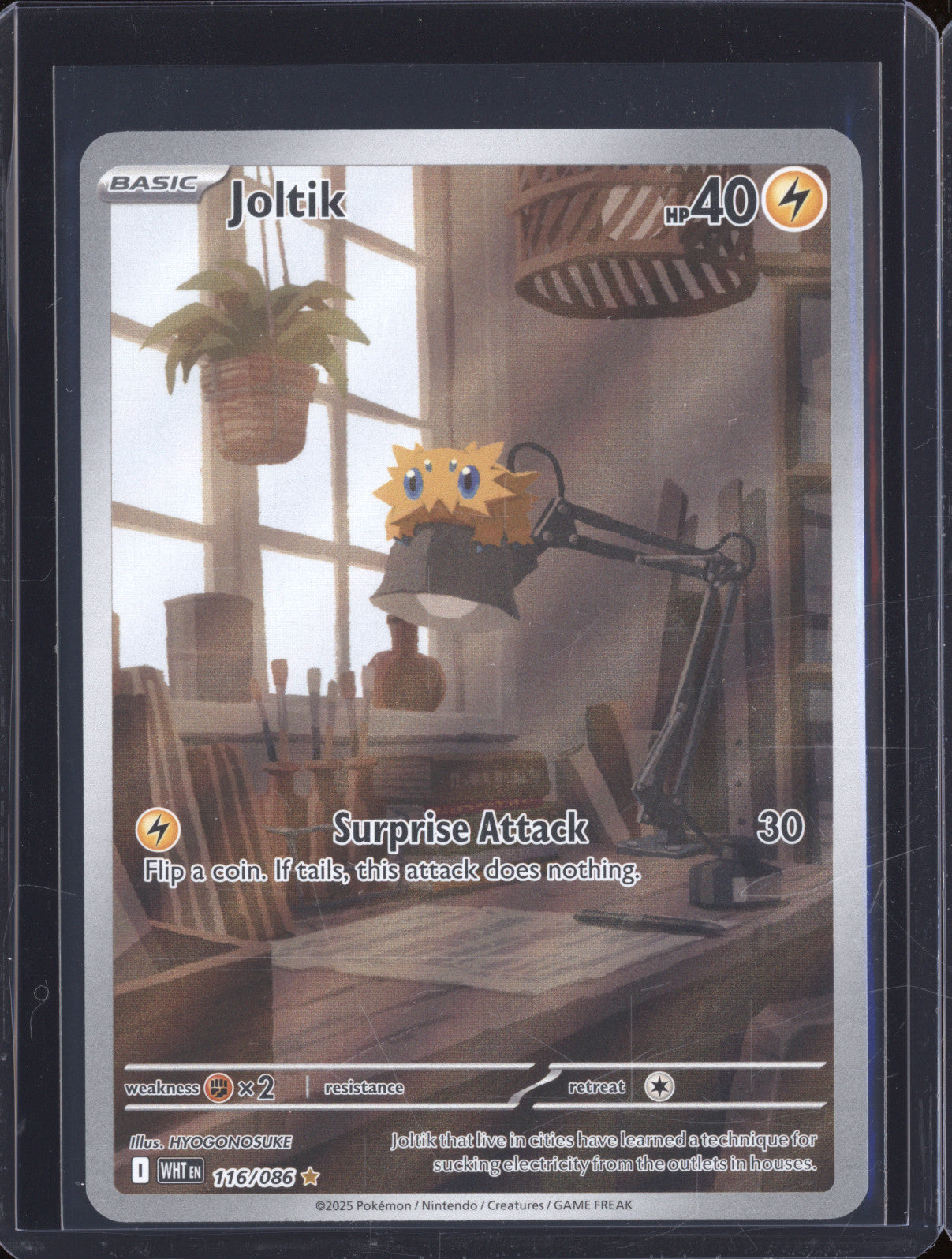 2025 Pokemon White Flare WHT 116 Joltik Illustration Rare