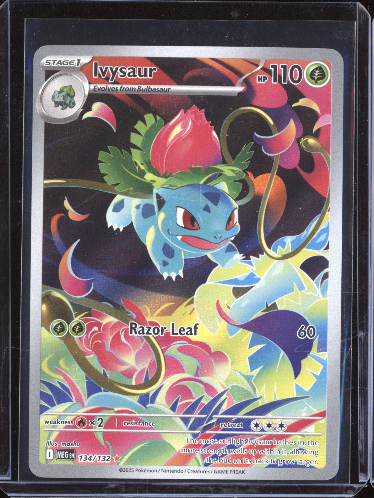 Ivysaur 2025 Pokemon Mega Evolution MEG 134/132 Illustration Rare