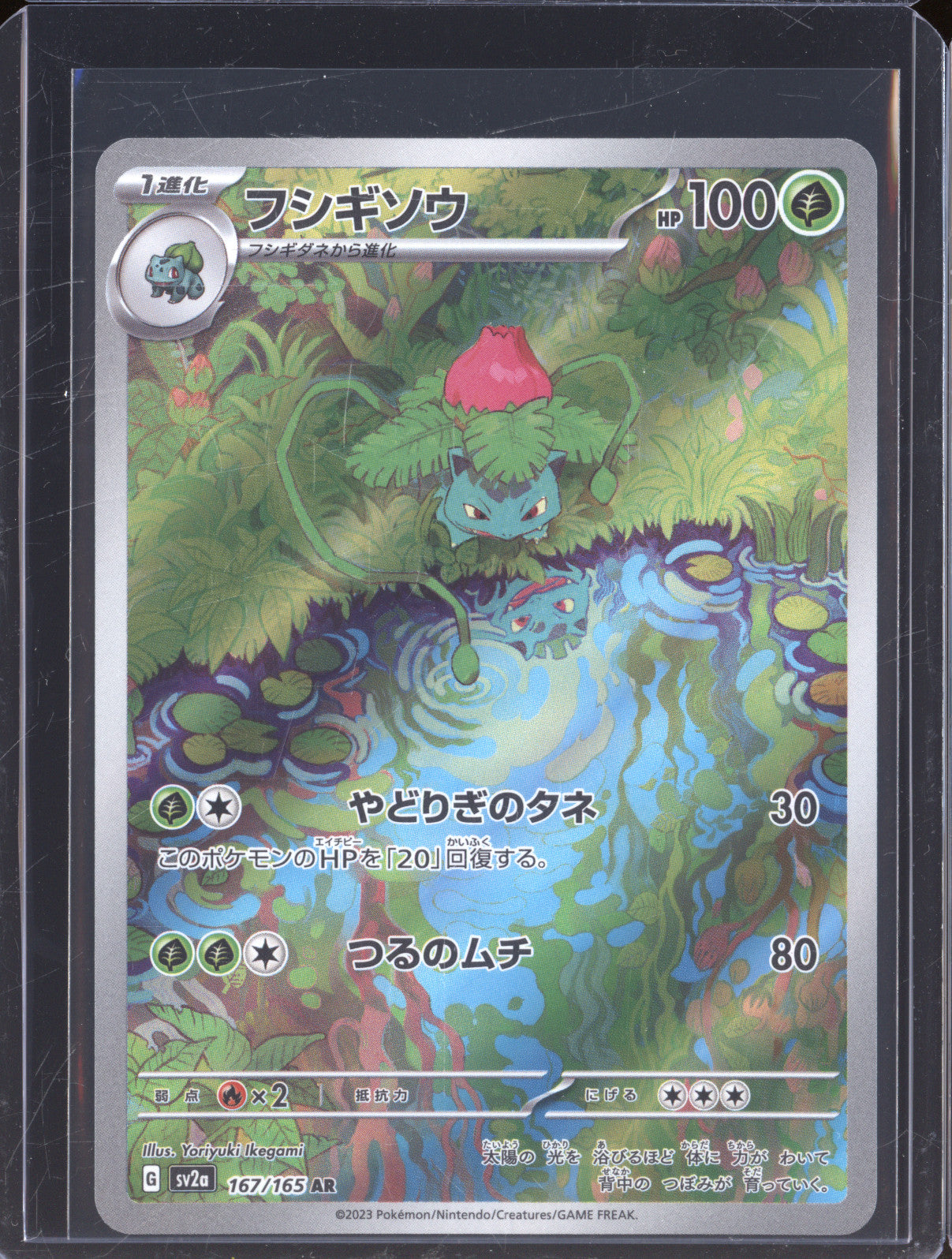 Ivysaur 2023 Pokemon 151 JP sv2a 167/165 Art Rare