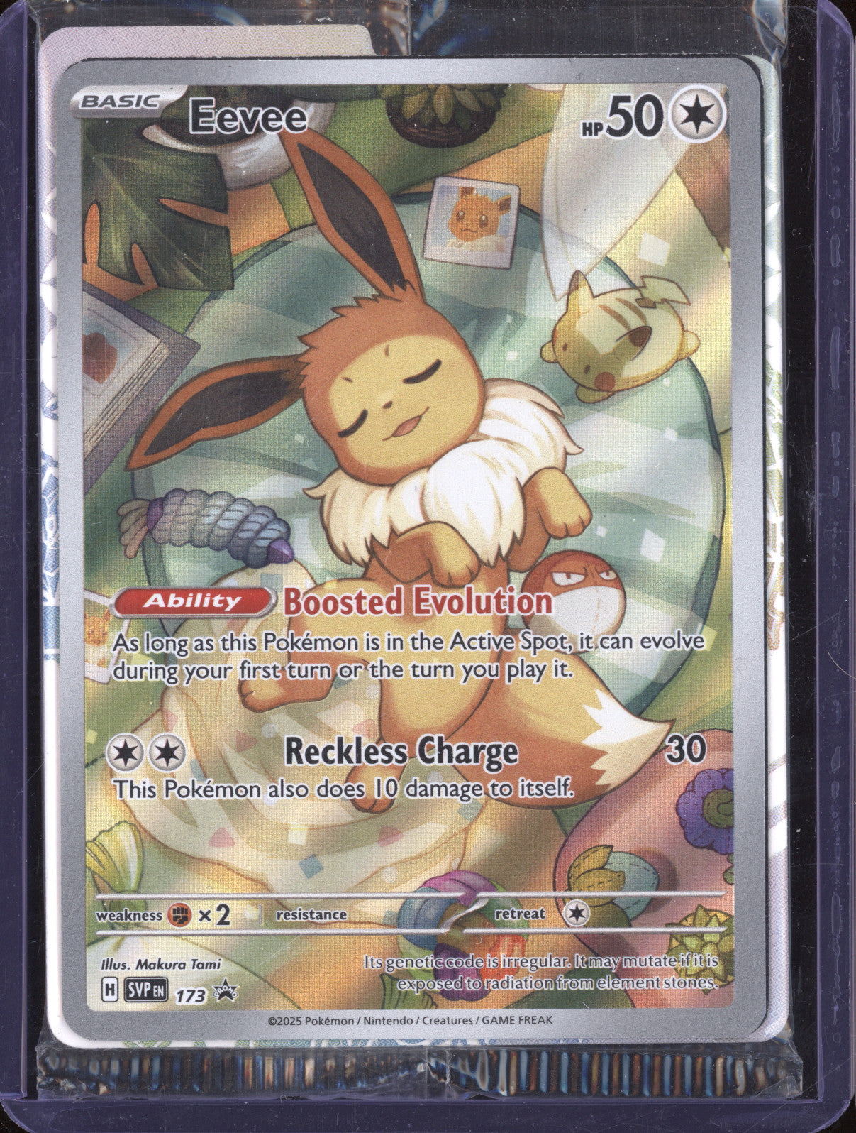 Eevee 2025 Pokemon Scarlet & Violet Promos 173 Elite Trainer Box Promo