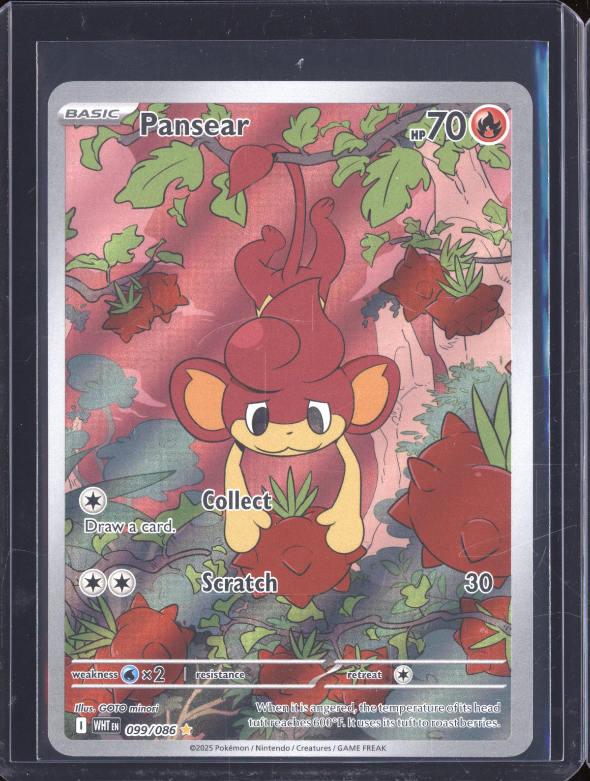 pokemon card pansear Pansear 2025 Pokemon White Flare WHT 099/086 Illustration Rare